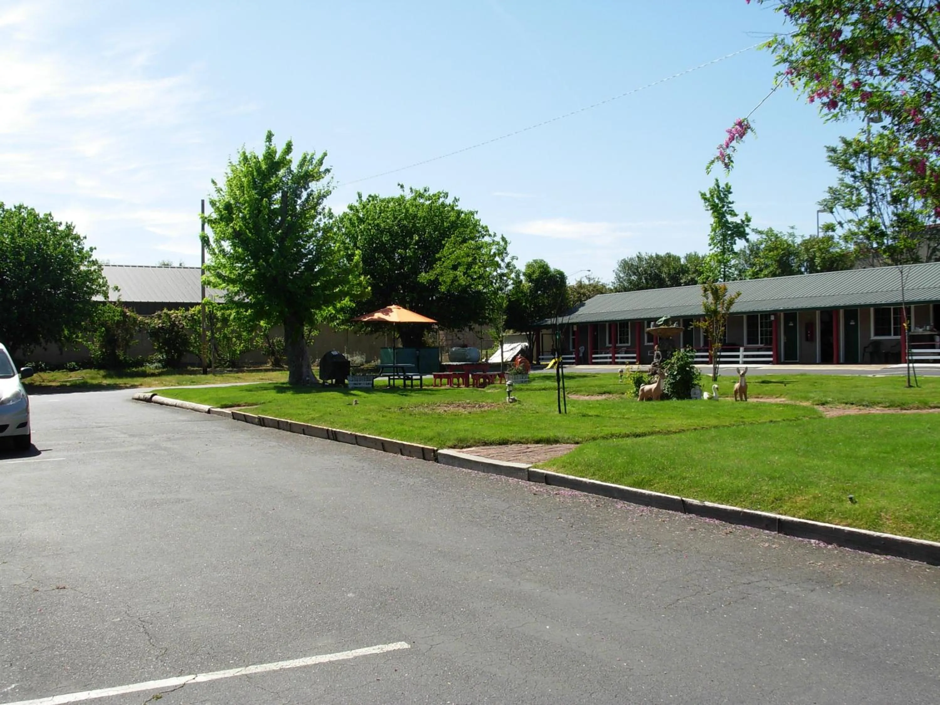 Day in Jumping Frog Motel