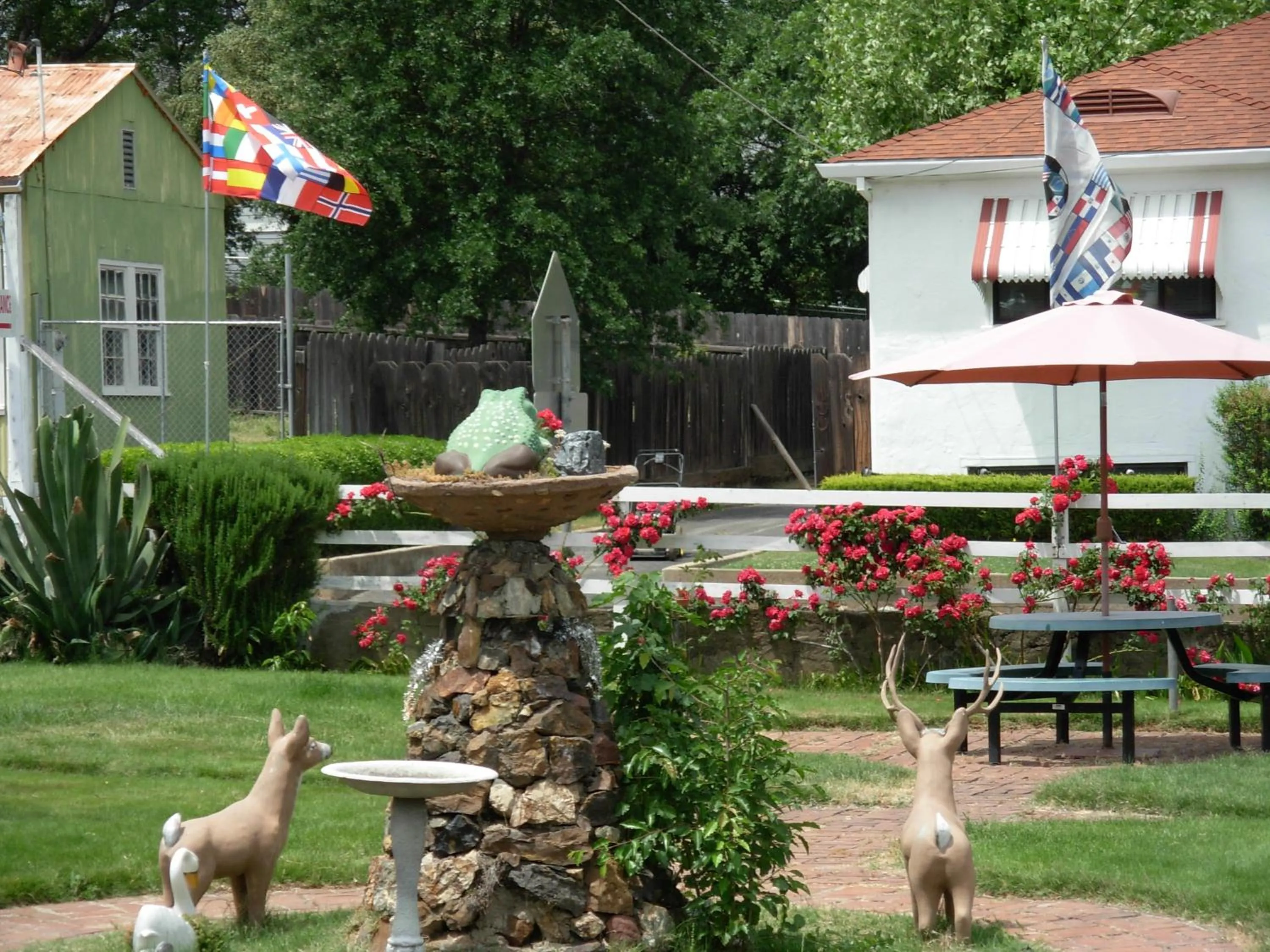 Natural landscape in Jumping Frog Motel