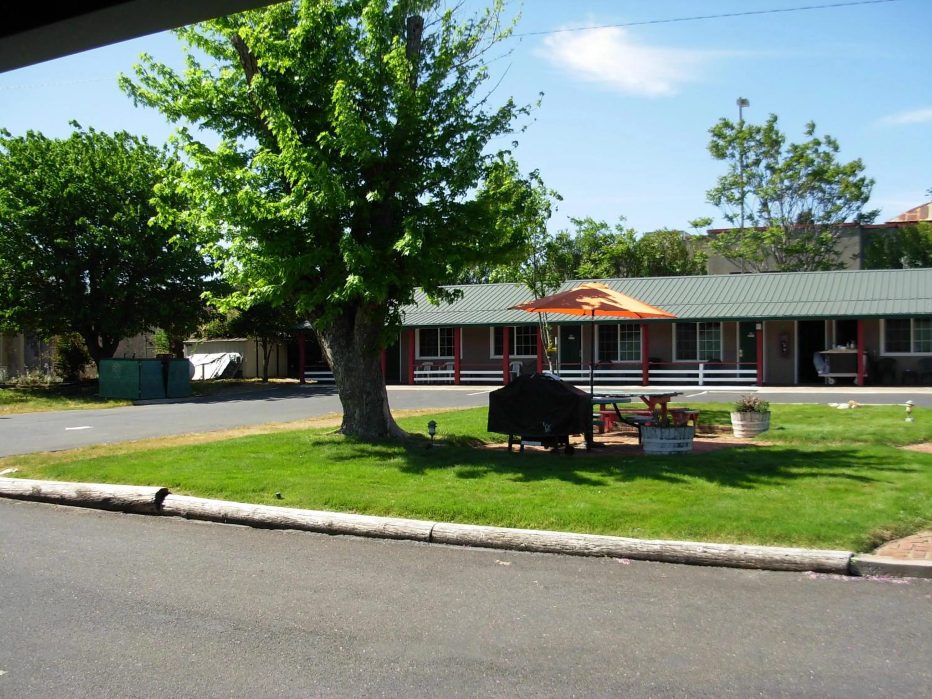 Garden in Jumping Frog Motel