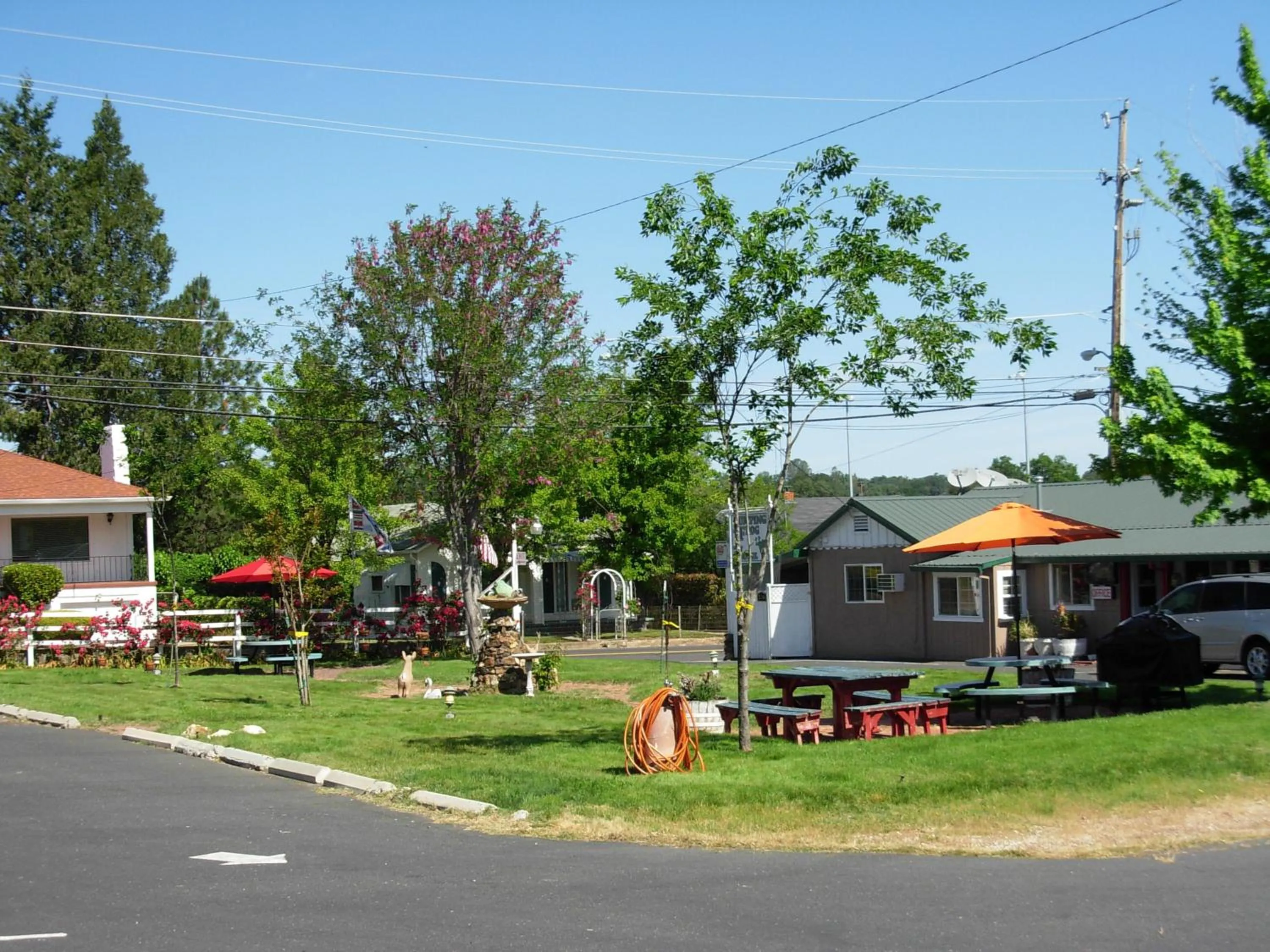 Garden view in Jumping Frog Motel