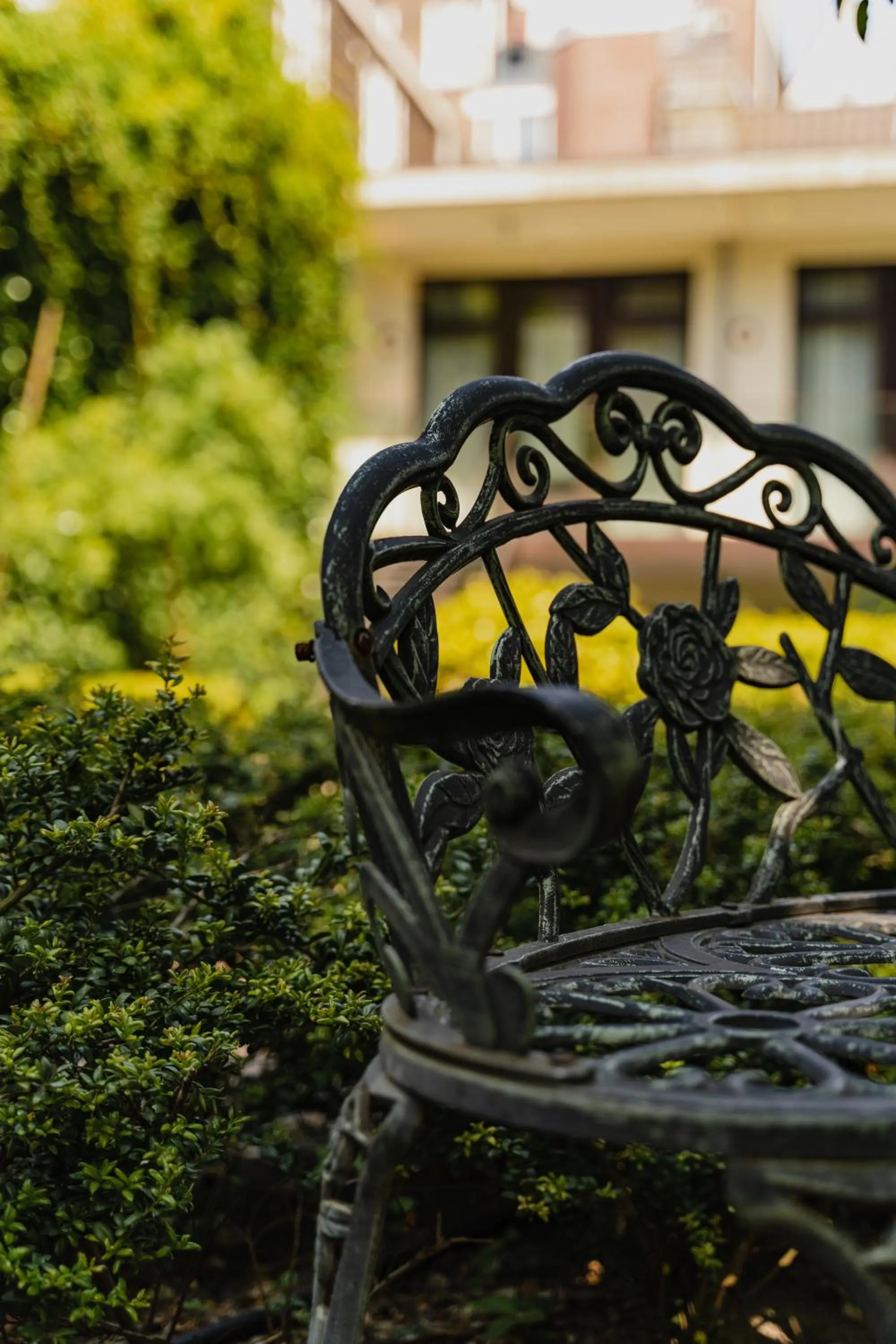 Garden in Hotel Mercier