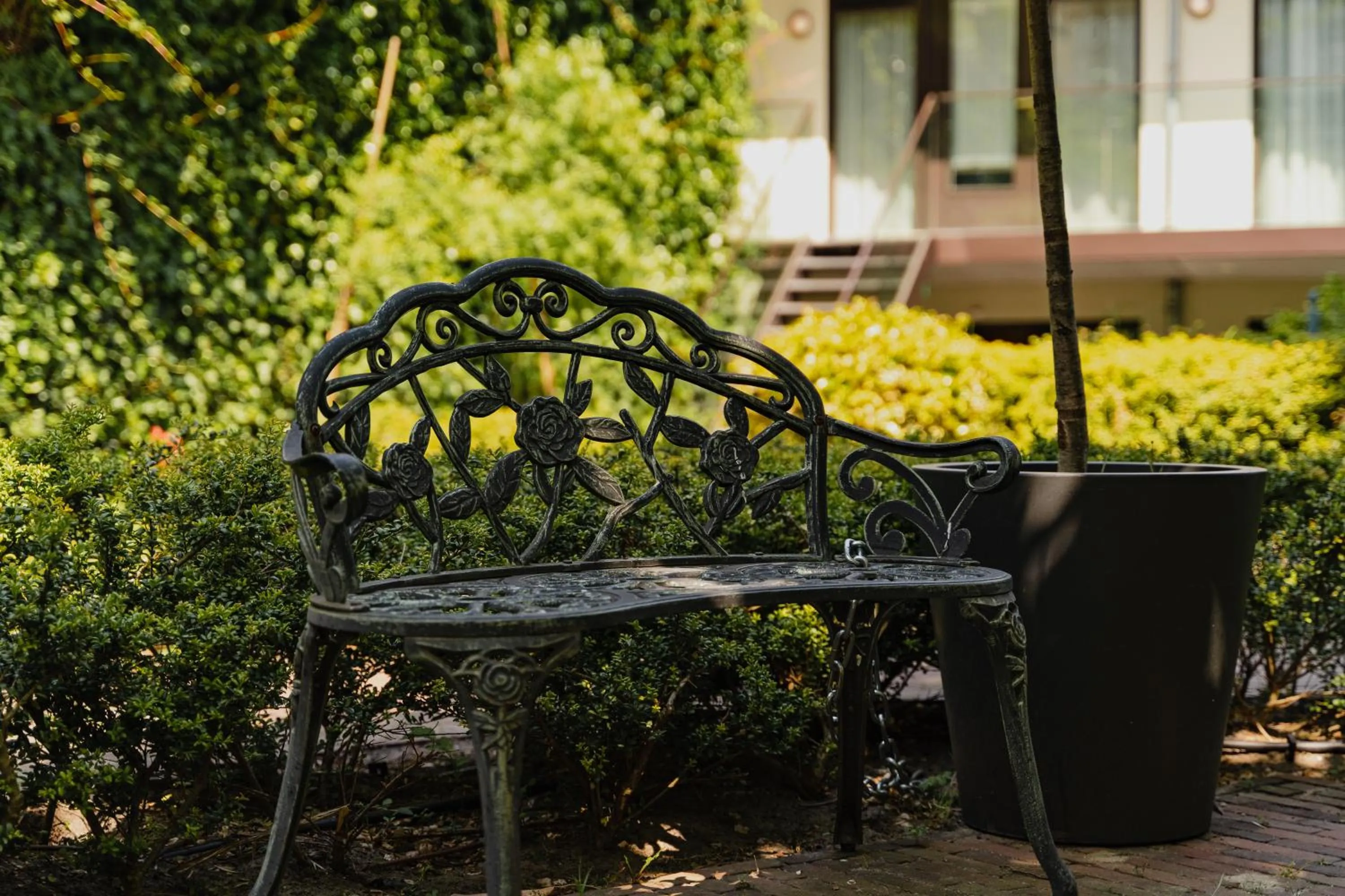 Day in Hotel Mercier