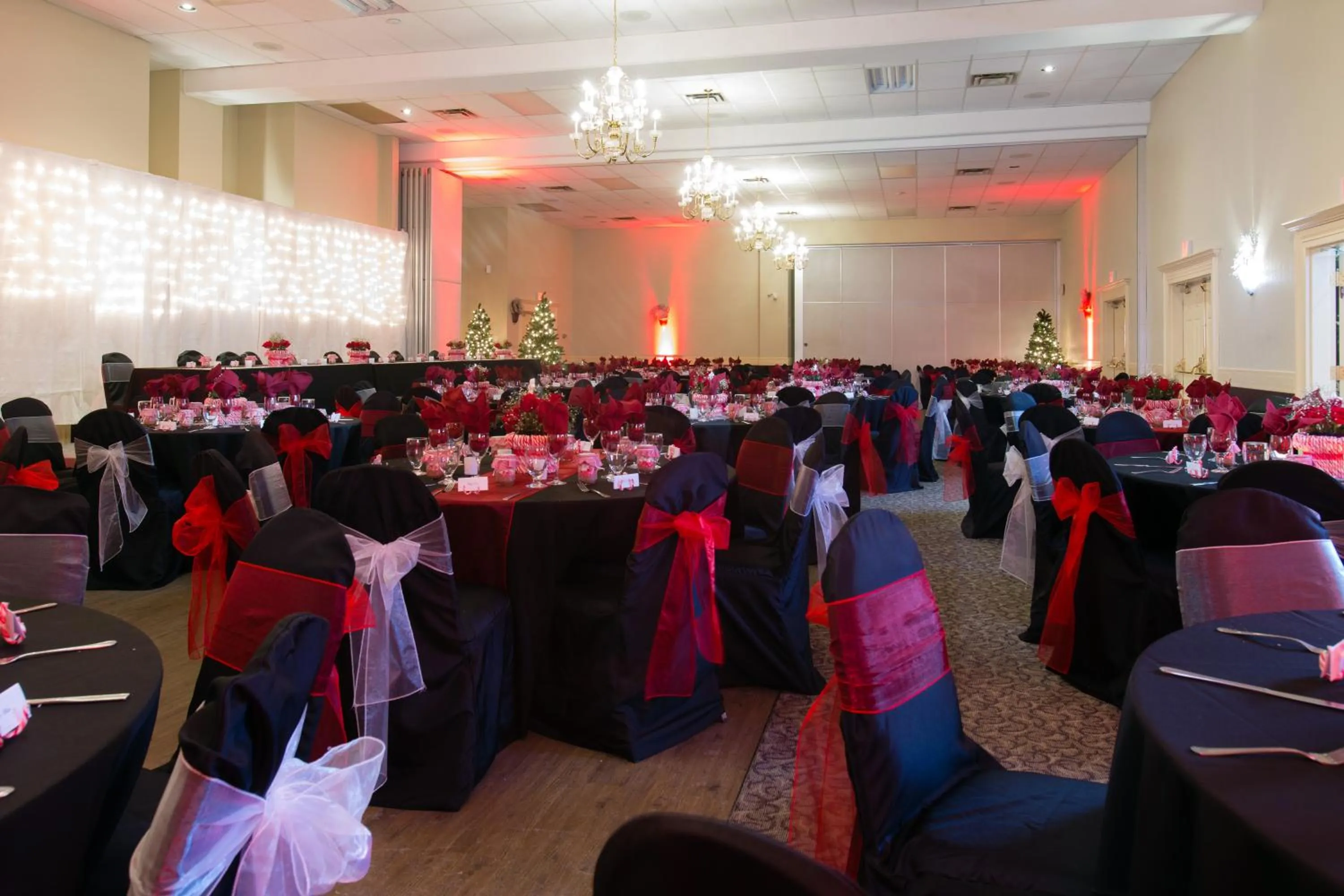 Business facilities in The Vance Creek Hotel & Conference Centre