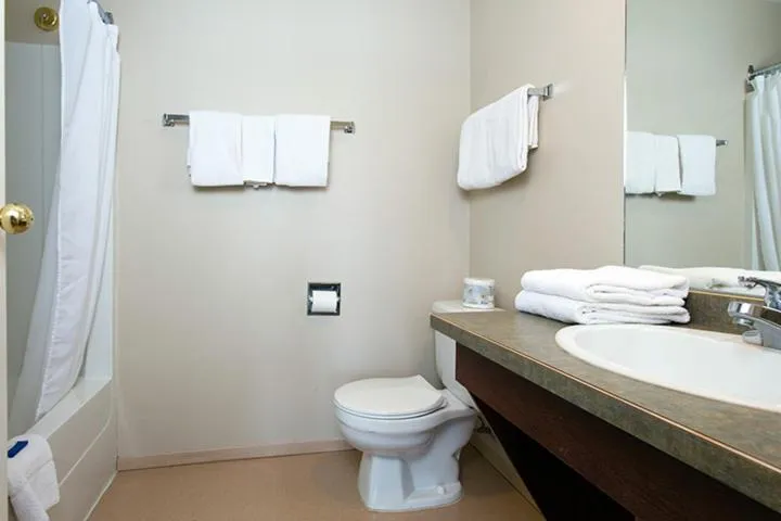 Bathroom in The Vance Creek Hotel & Conference Centre