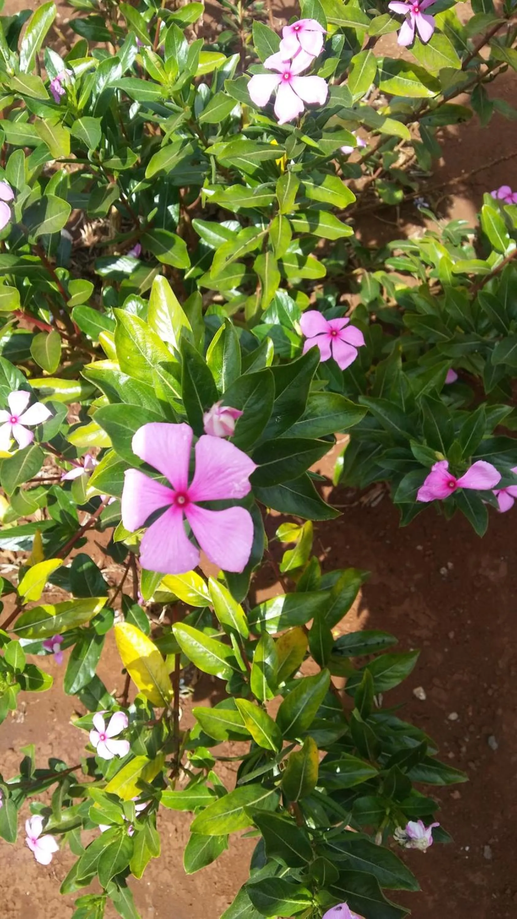 Property building in Maktau Mountain Lodge