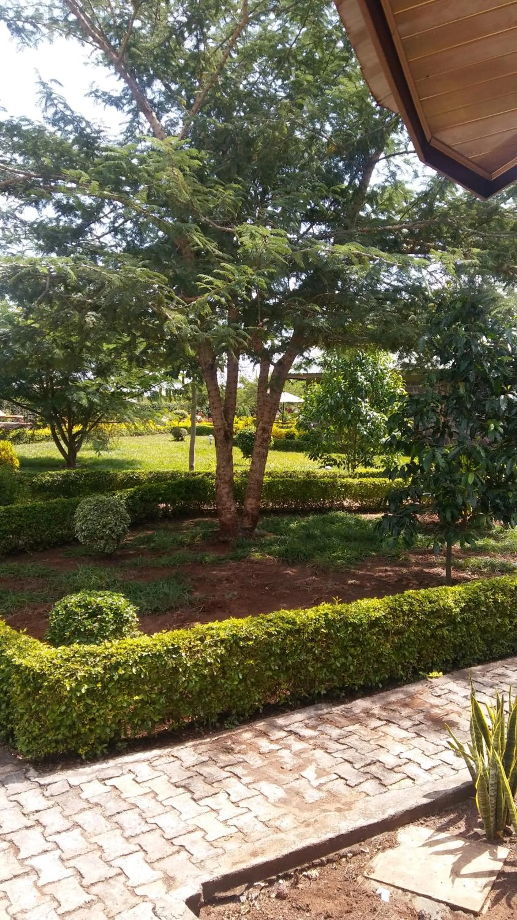 Property building in Maktau Mountain Lodge