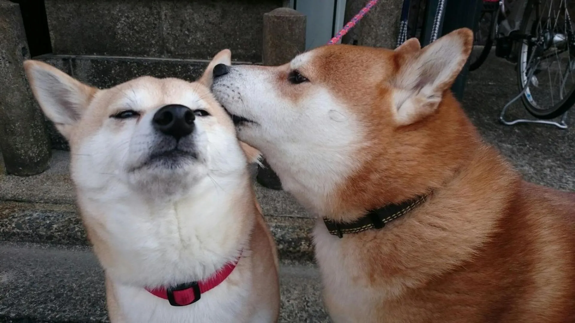 Family in Takigawa Ryokan