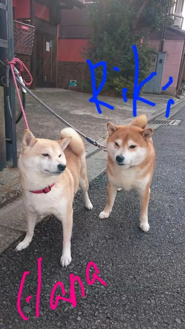 Family in Takigawa Ryokan
