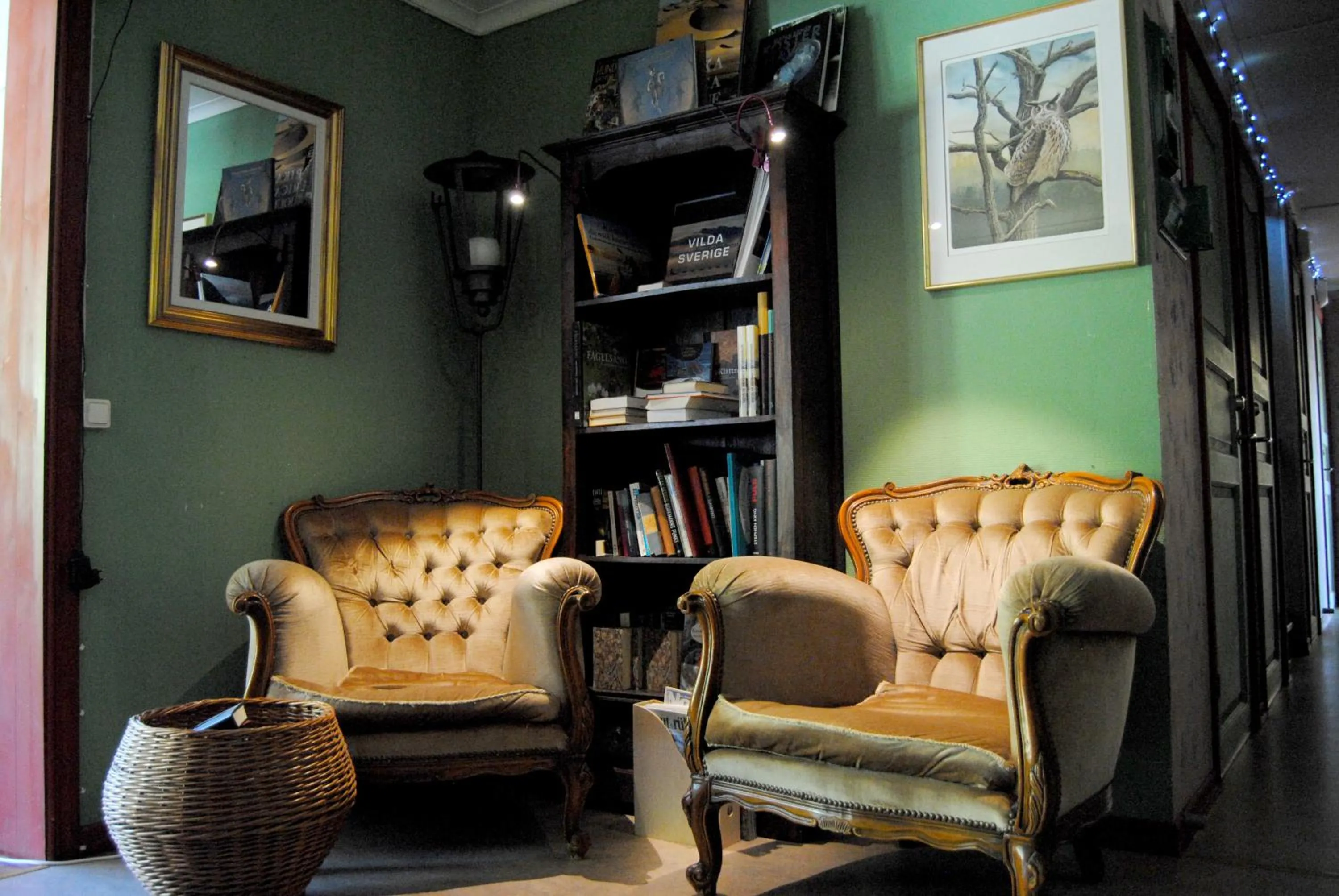 Library in Tingvall B&B Eco-Lodge