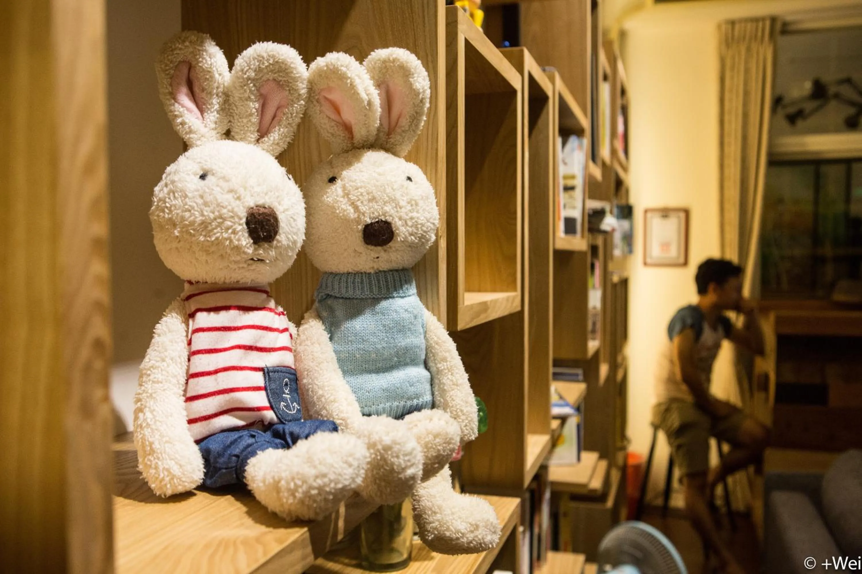 Living room in Shining Forest Hostel