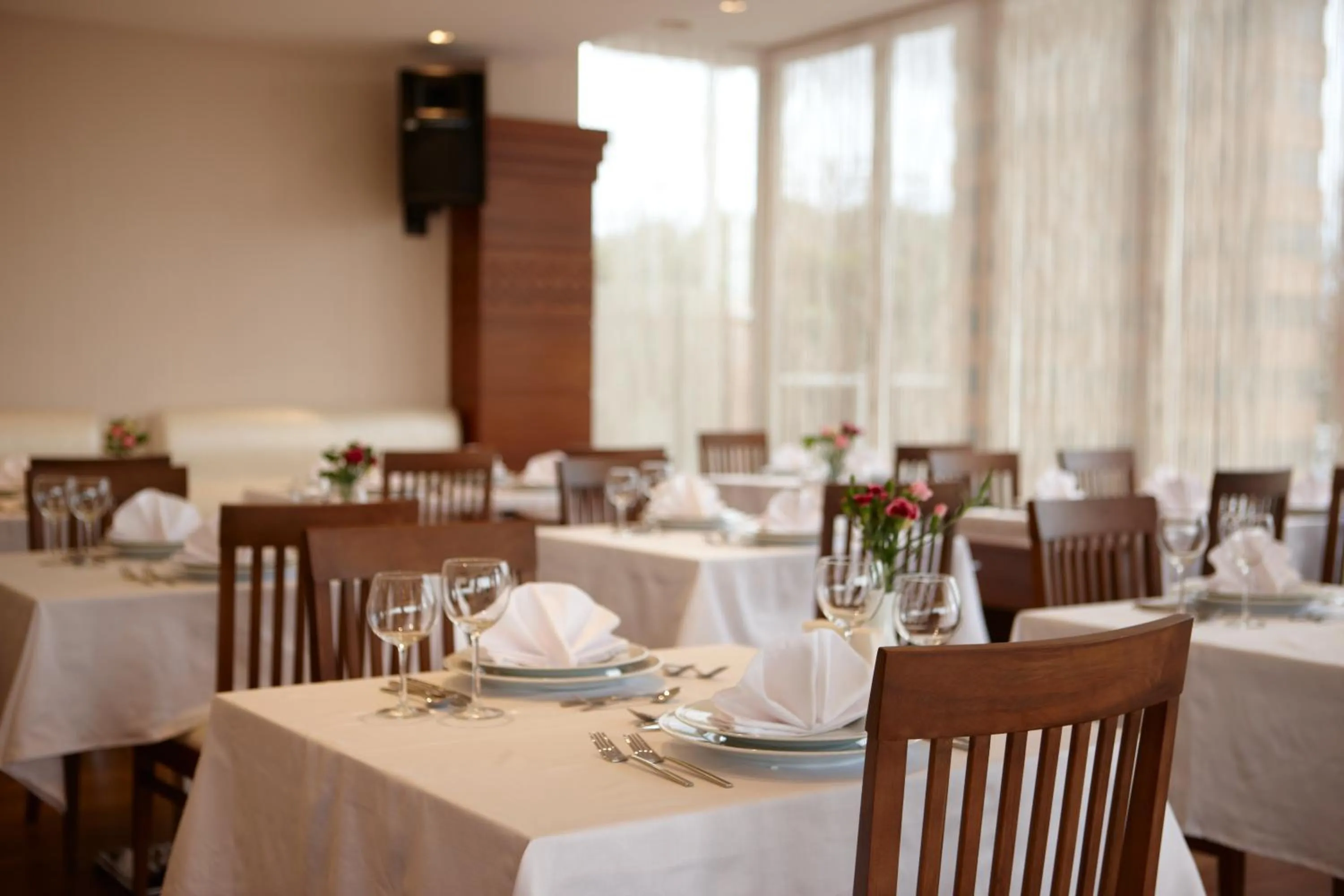 Restaurant/places to eat in dovsOtel