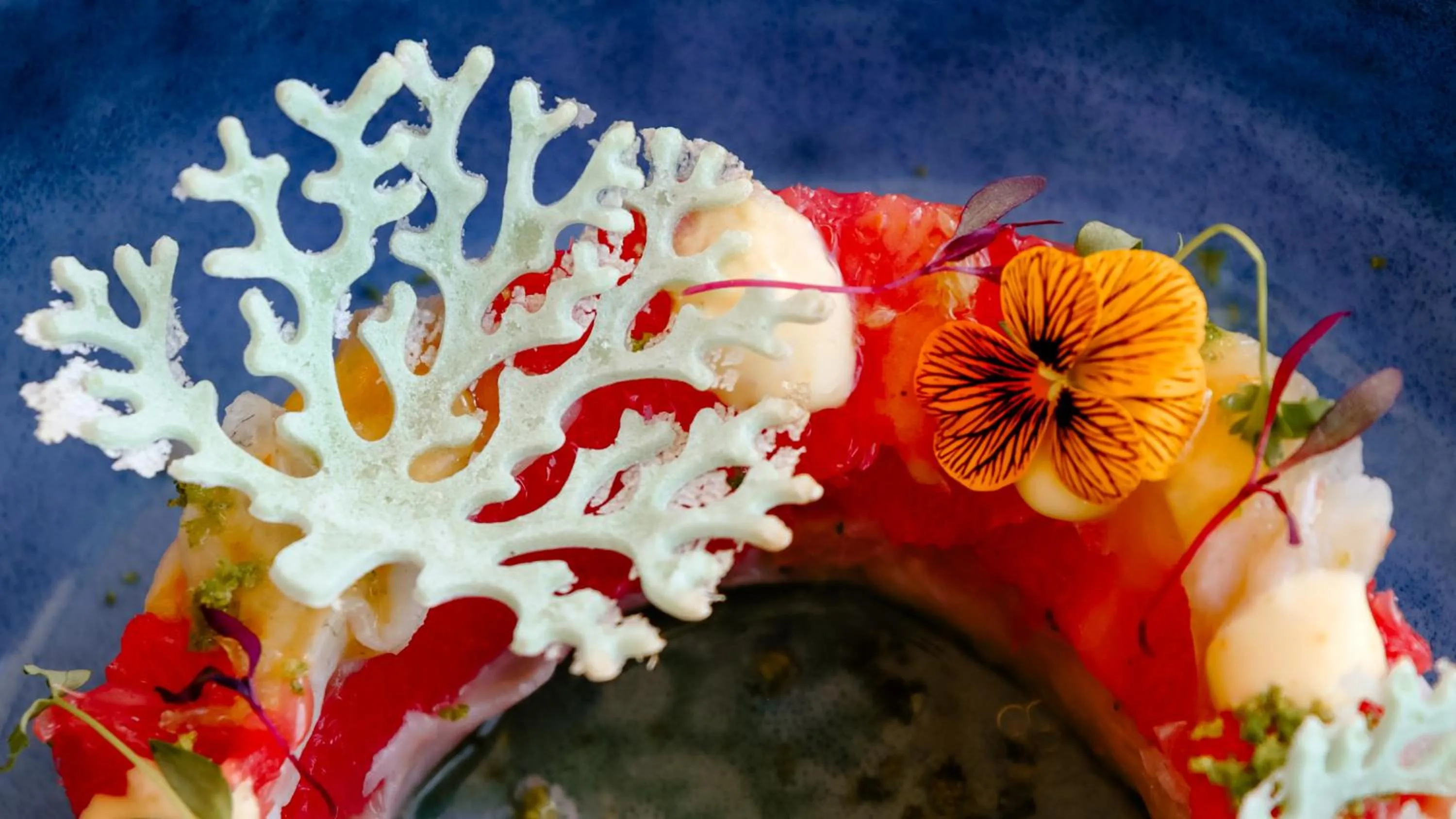 Restaurant/places to eat in Pousadela Village & Spa