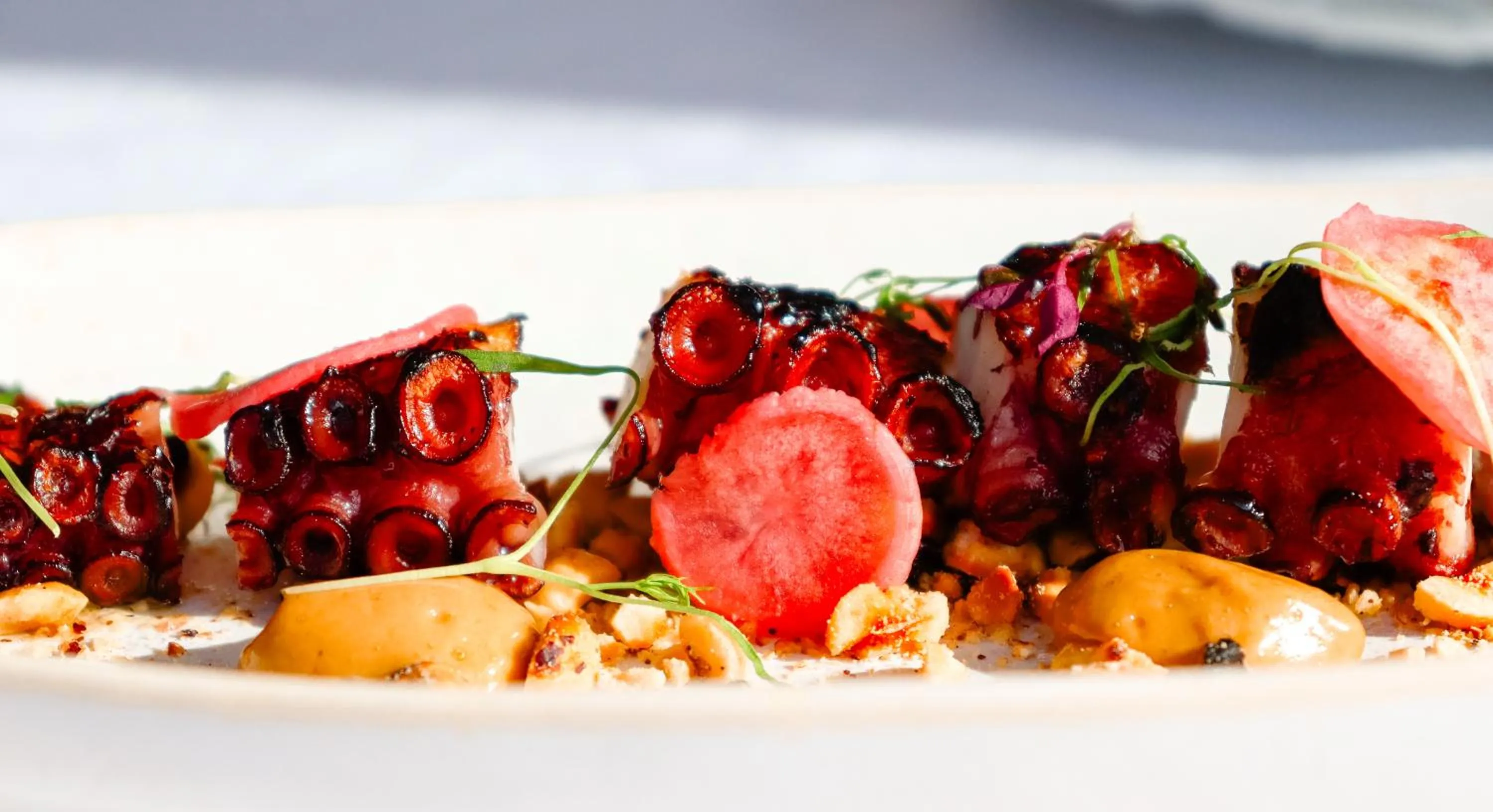 Restaurant/places to eat in Pousadela Village & Spa