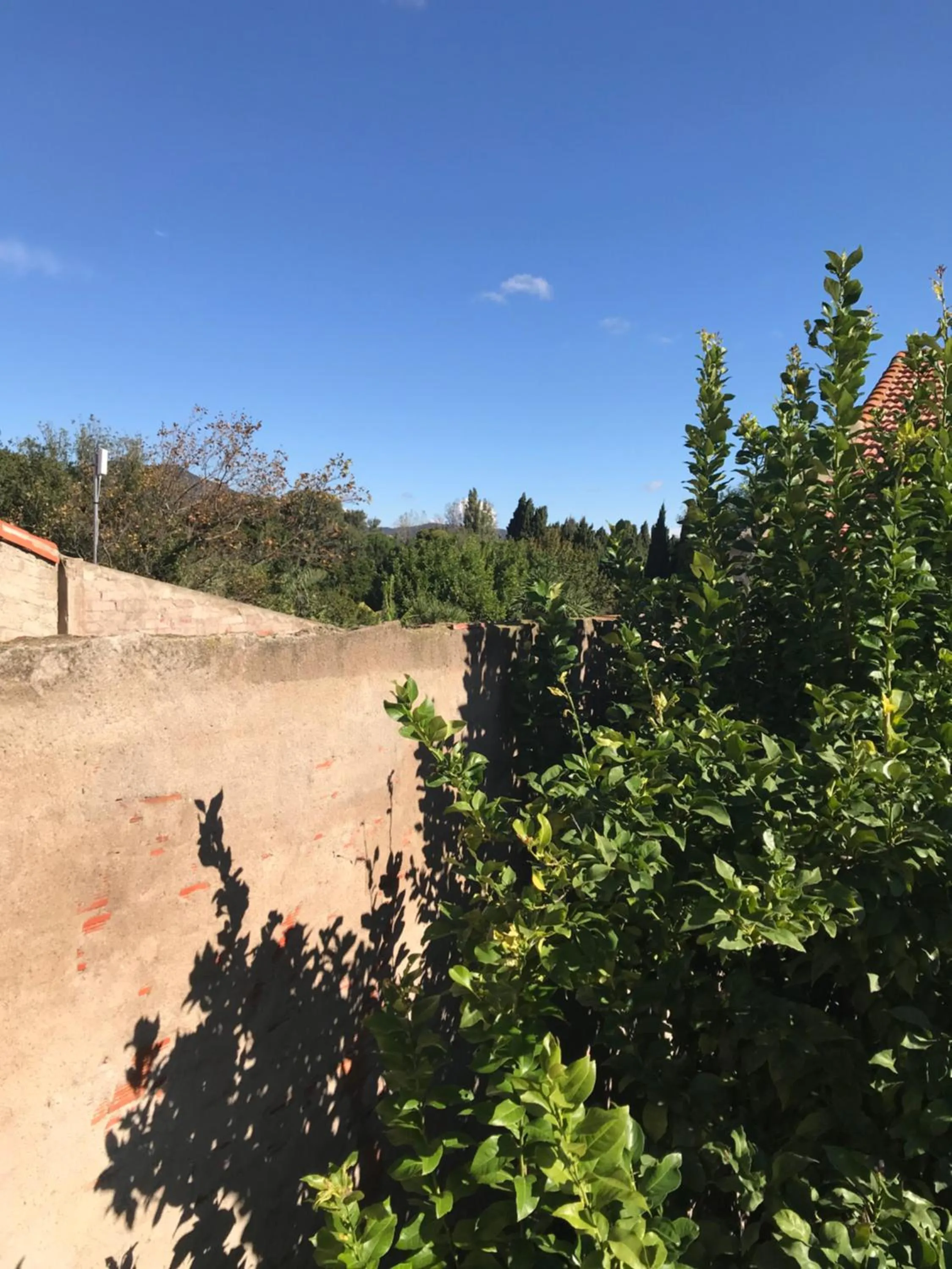 Natural landscape in Casa Mia