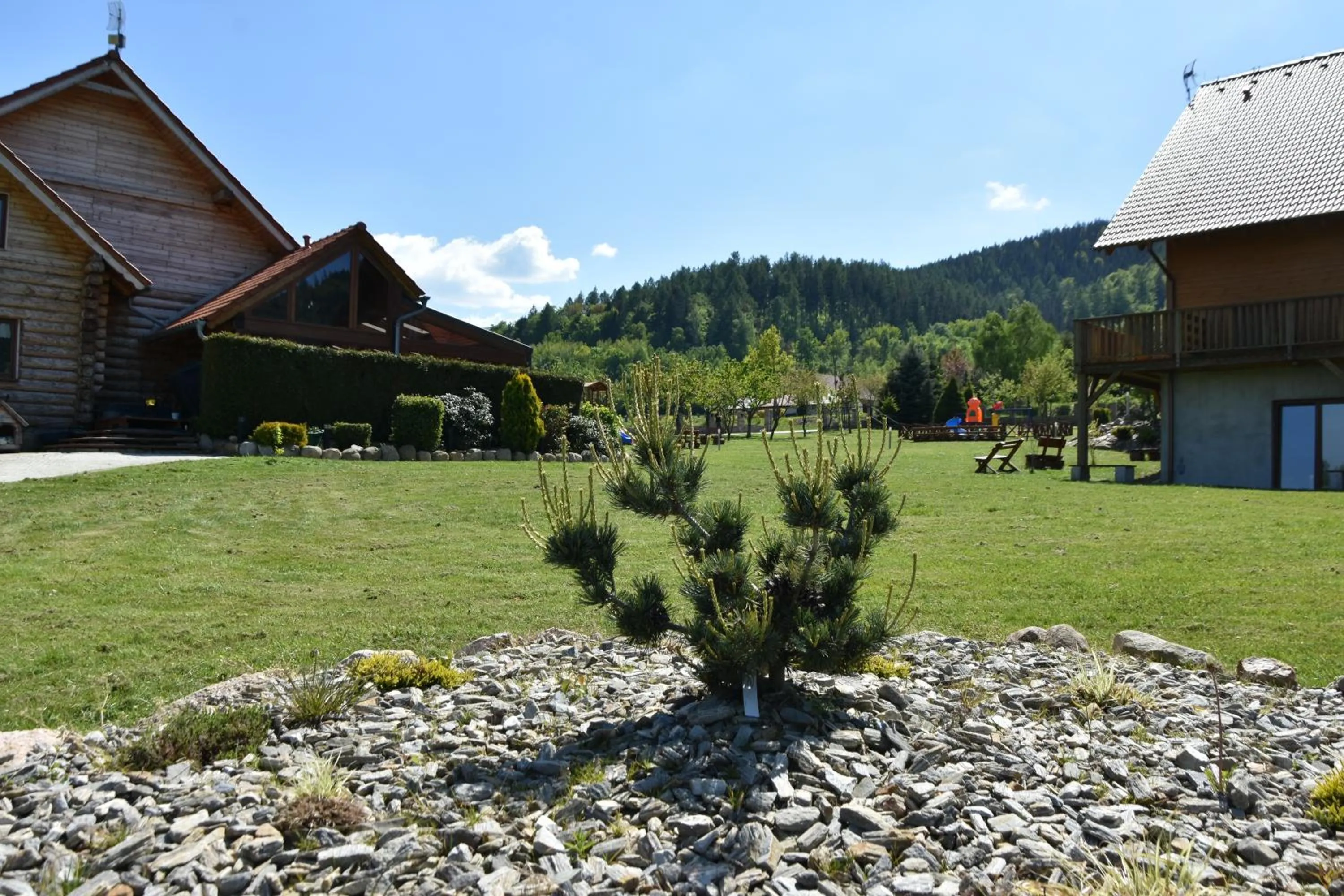 Garden view in Dom z Bali