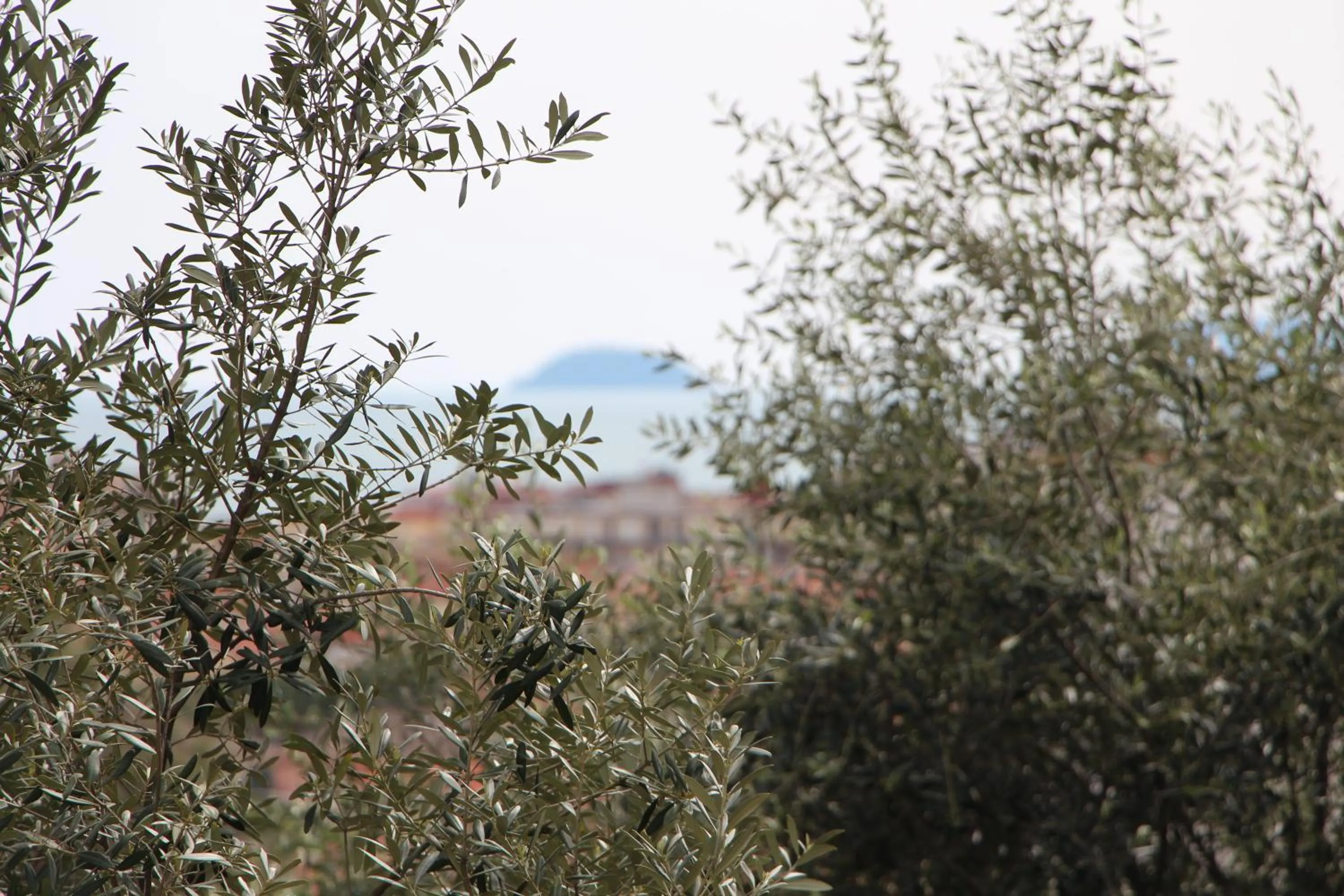 Sea view in BB CÀ DE MÂ