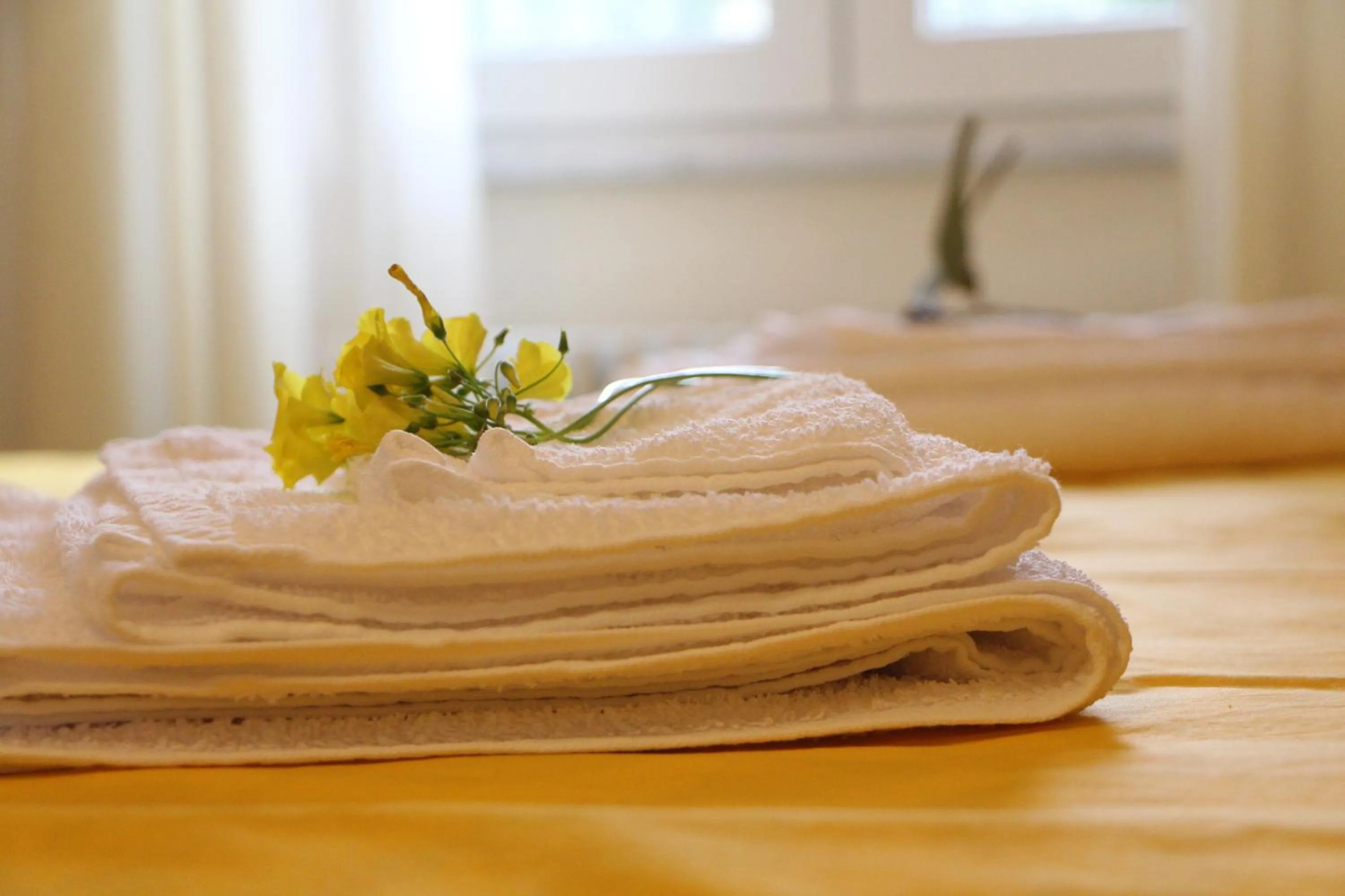 Decorative detail, Bed in BB CÀ DE MÂ