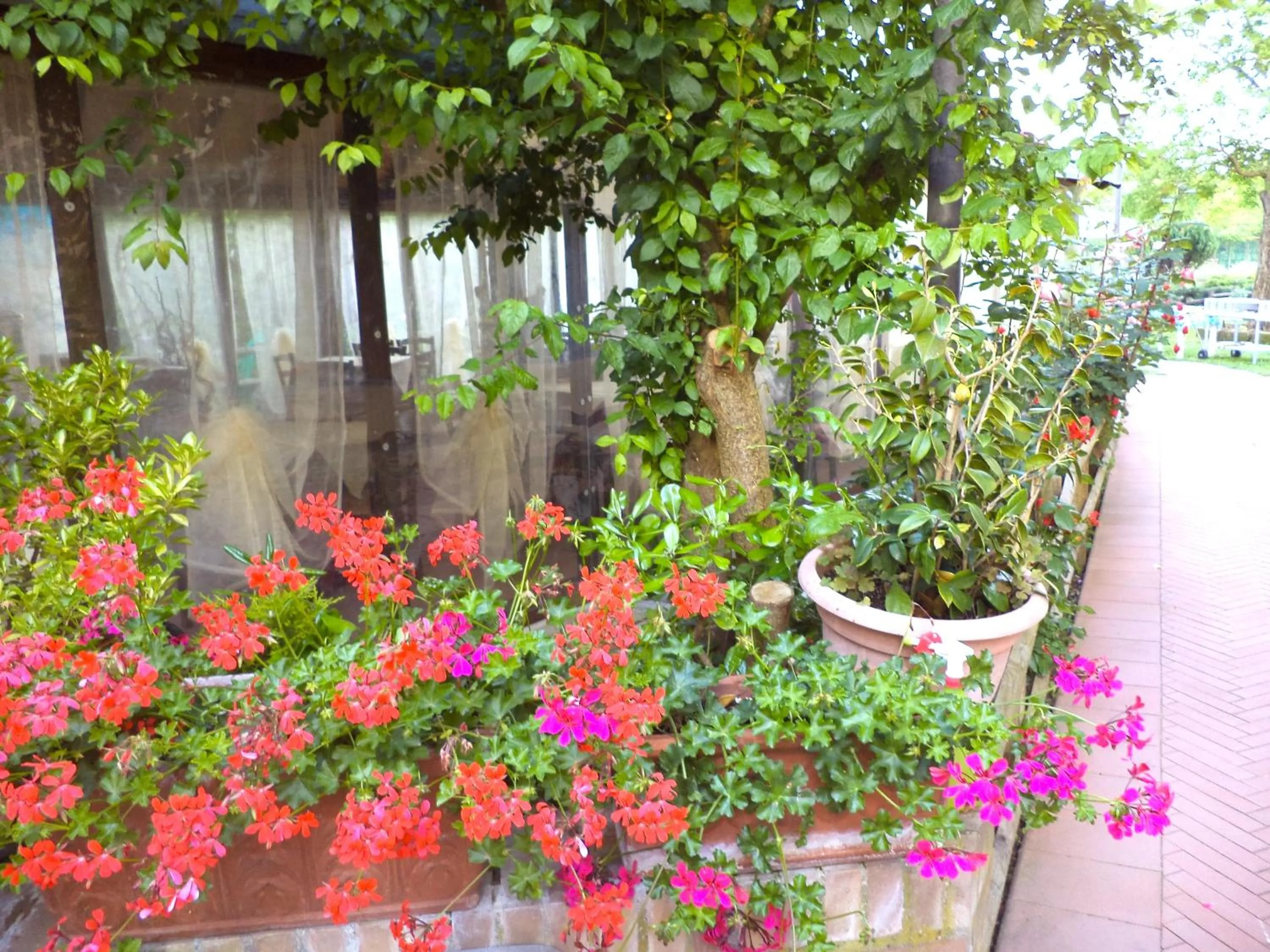 Day, Garden in Il Molino Del Ponte