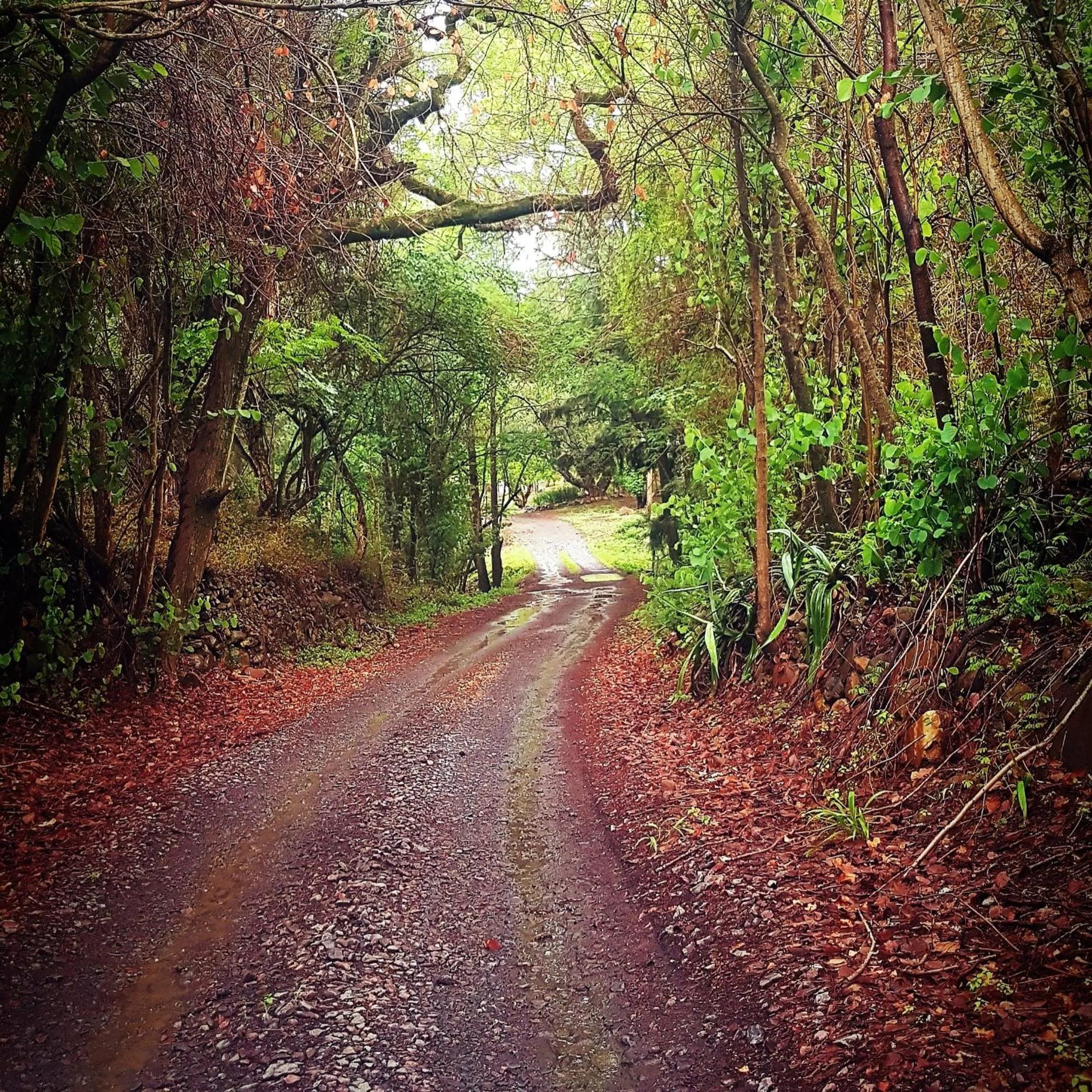 Natural landscape in Rocky Drift Private Nature Reserve