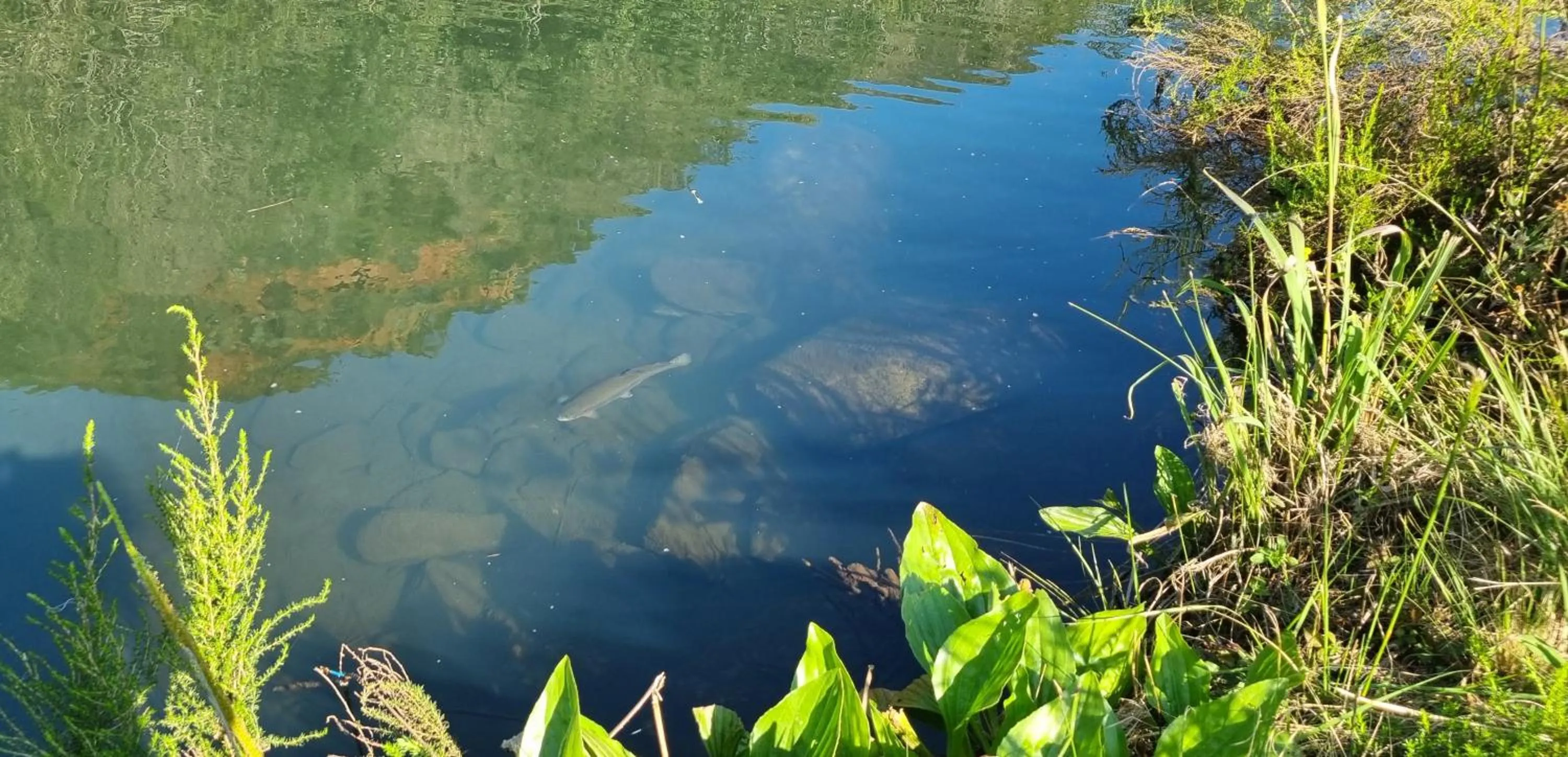 Fishing in Rocky Drift Private Nature Reserve