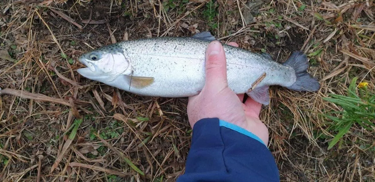 Fishing in Rocky Drift Private Nature Reserve