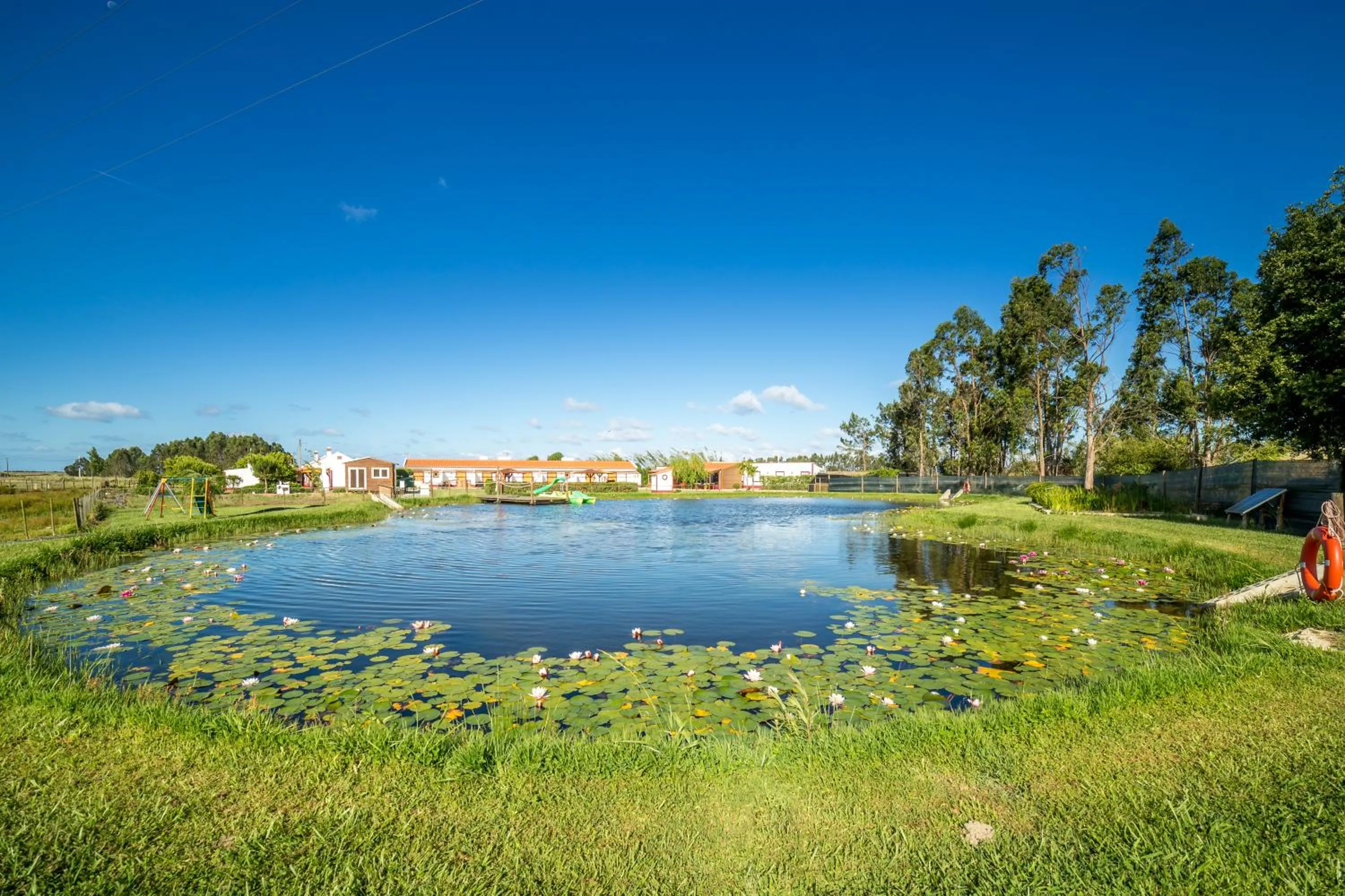Bird's eye view in Monte do Zeca