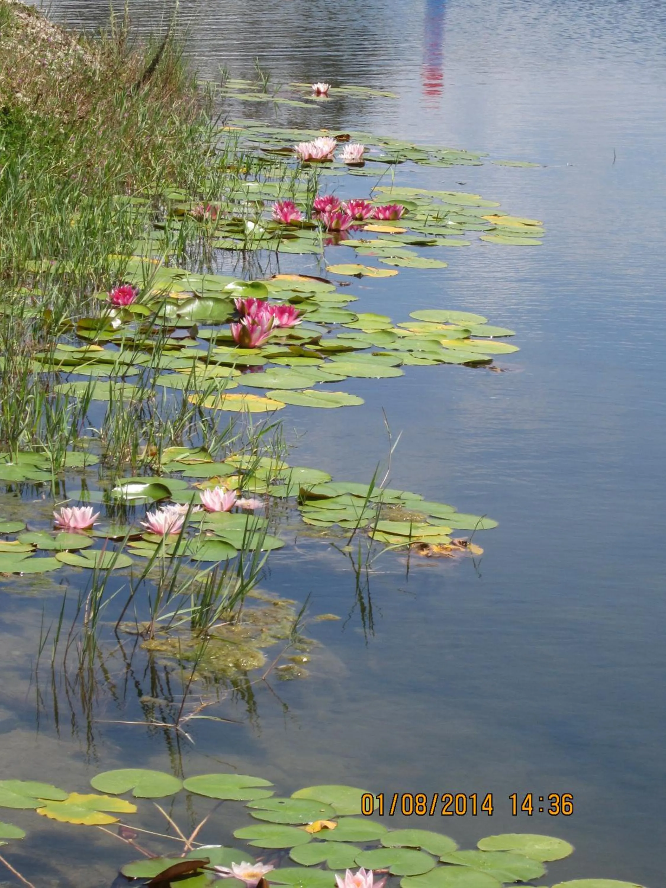 Swimming pool in Monte do Zeca