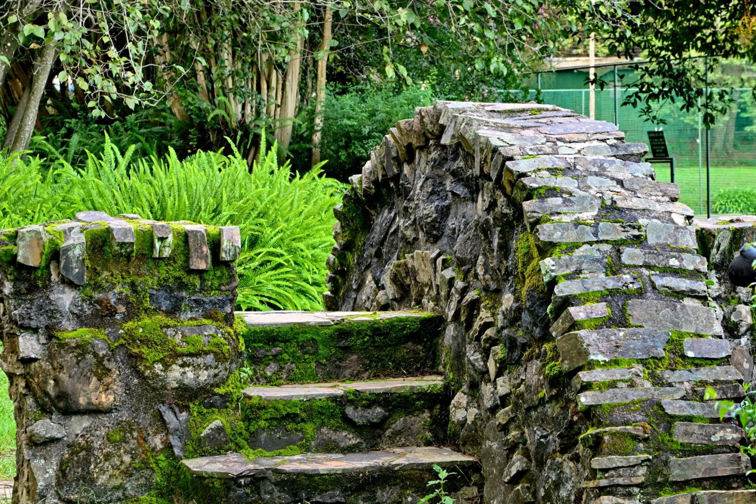 Champagne Castle Hotel