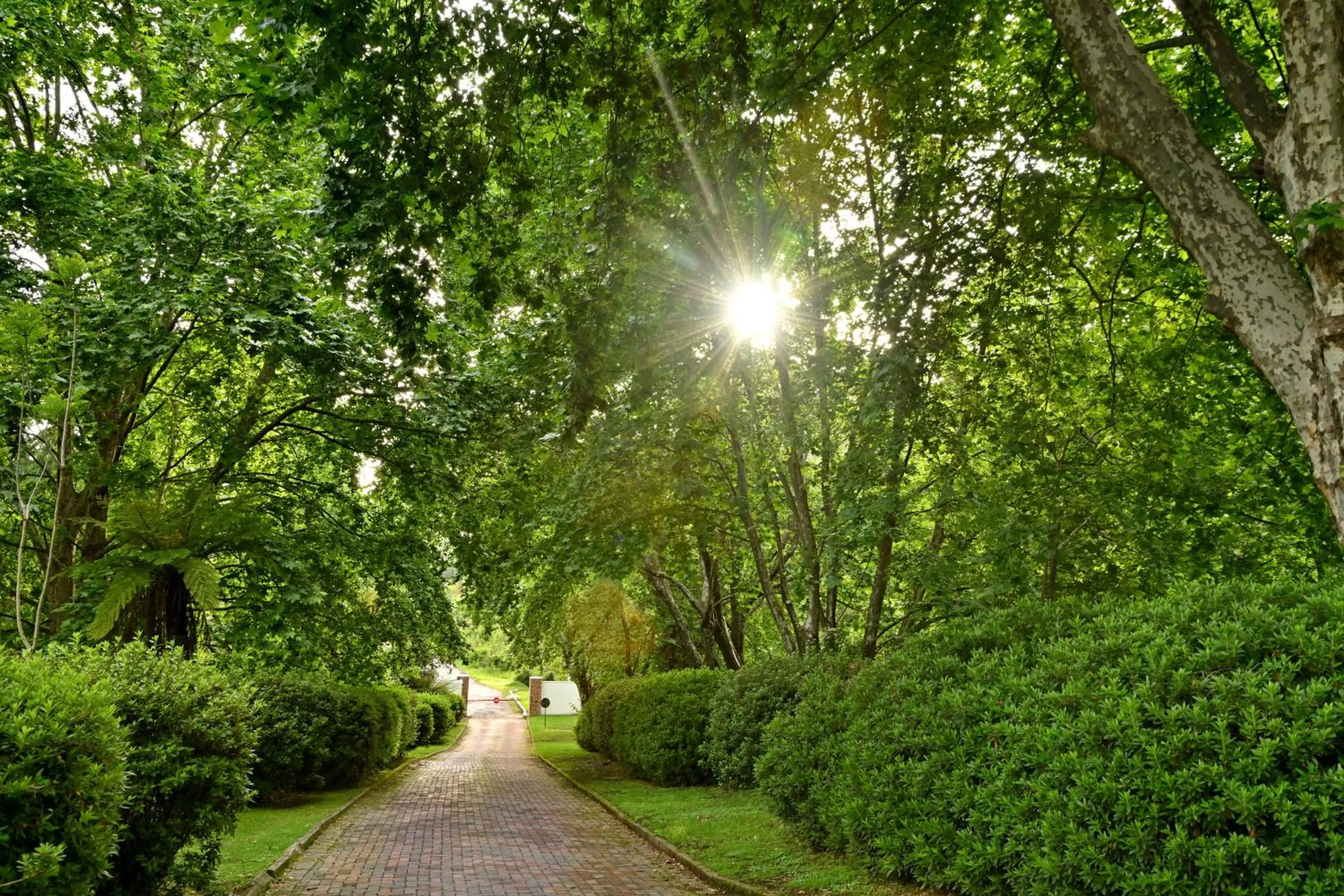 Champagne Castle Hotel