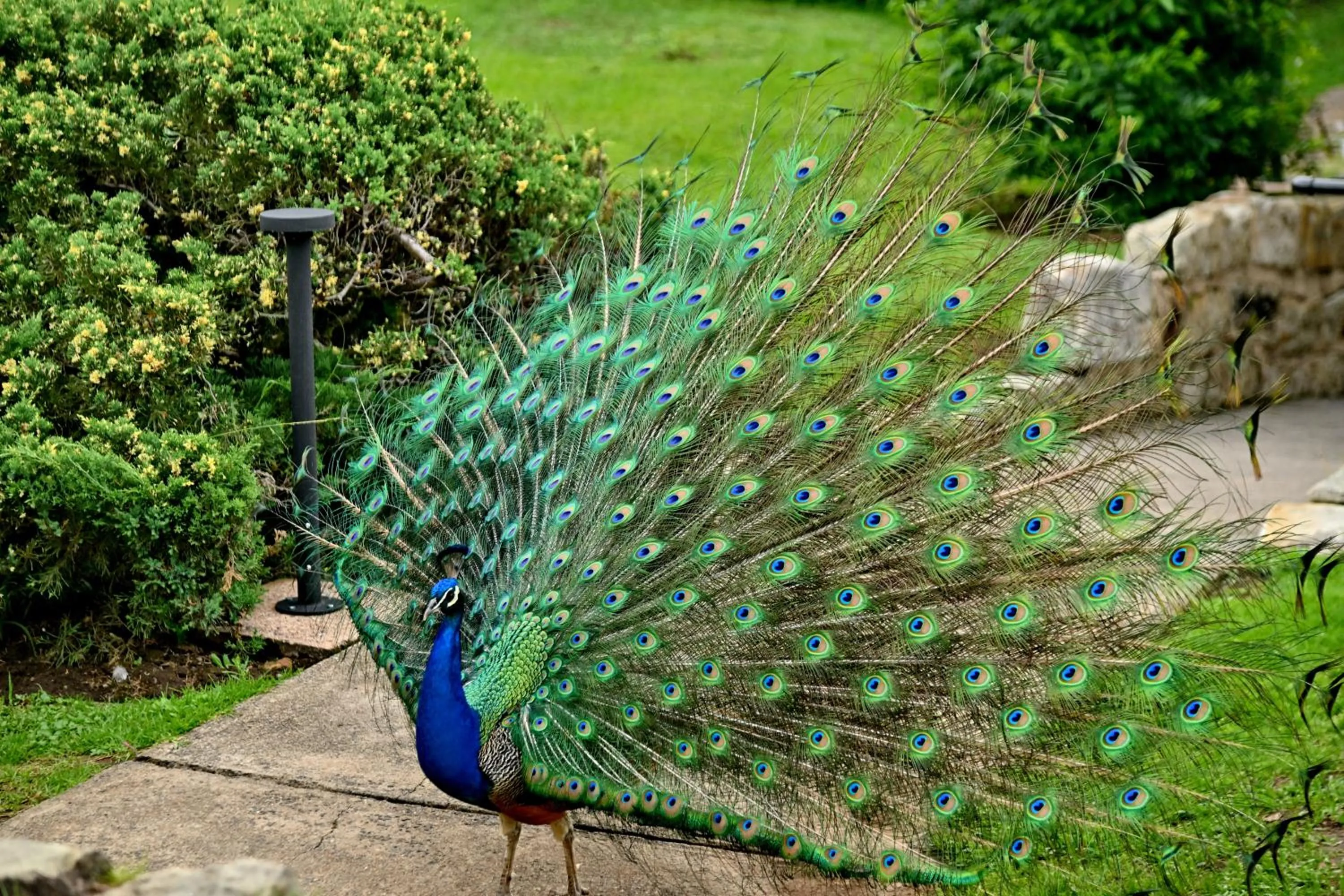 Champagne Castle Hotel