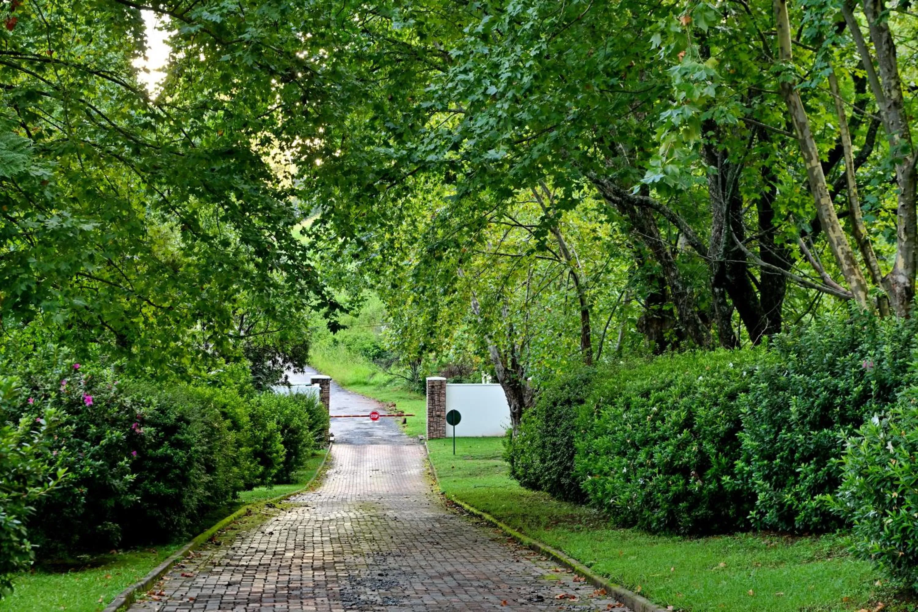 Champagne Castle Hotel