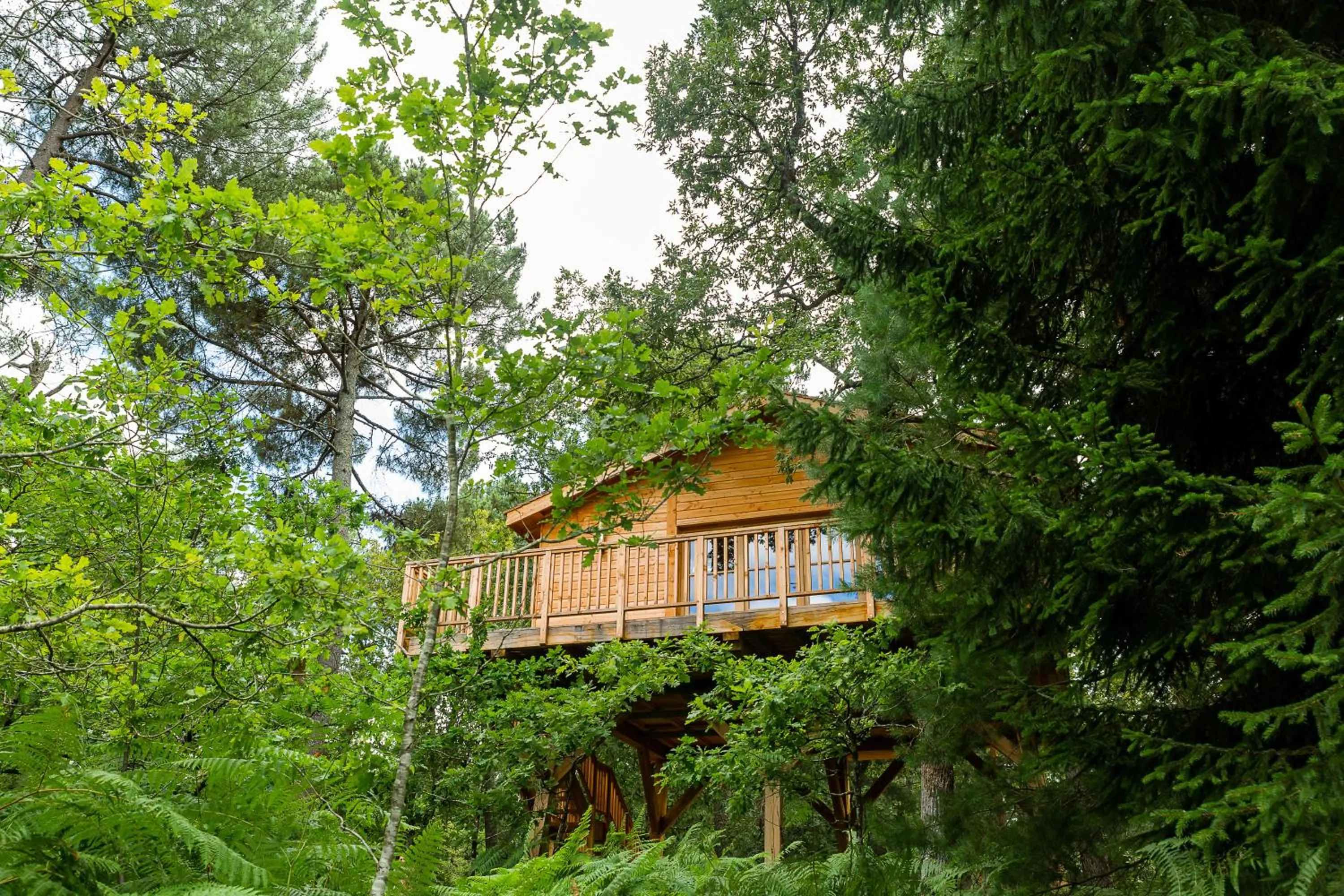 View (from property/room) in Château Léognan, Domaine viticole - proche Bordeaux