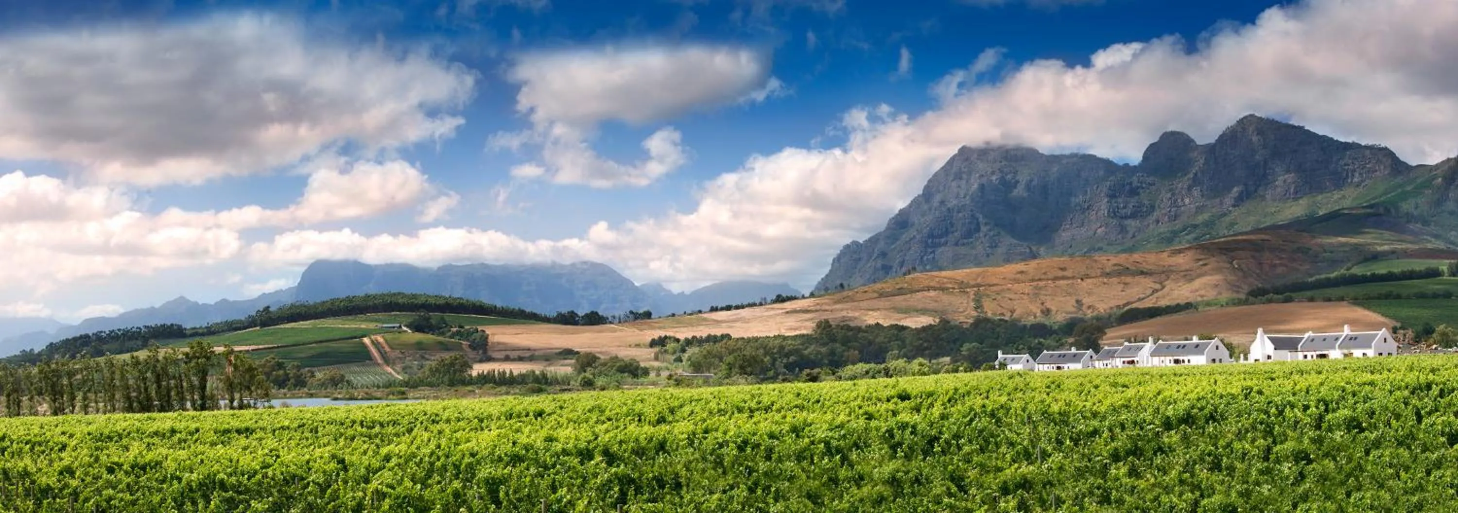 Day in Babylonstoren