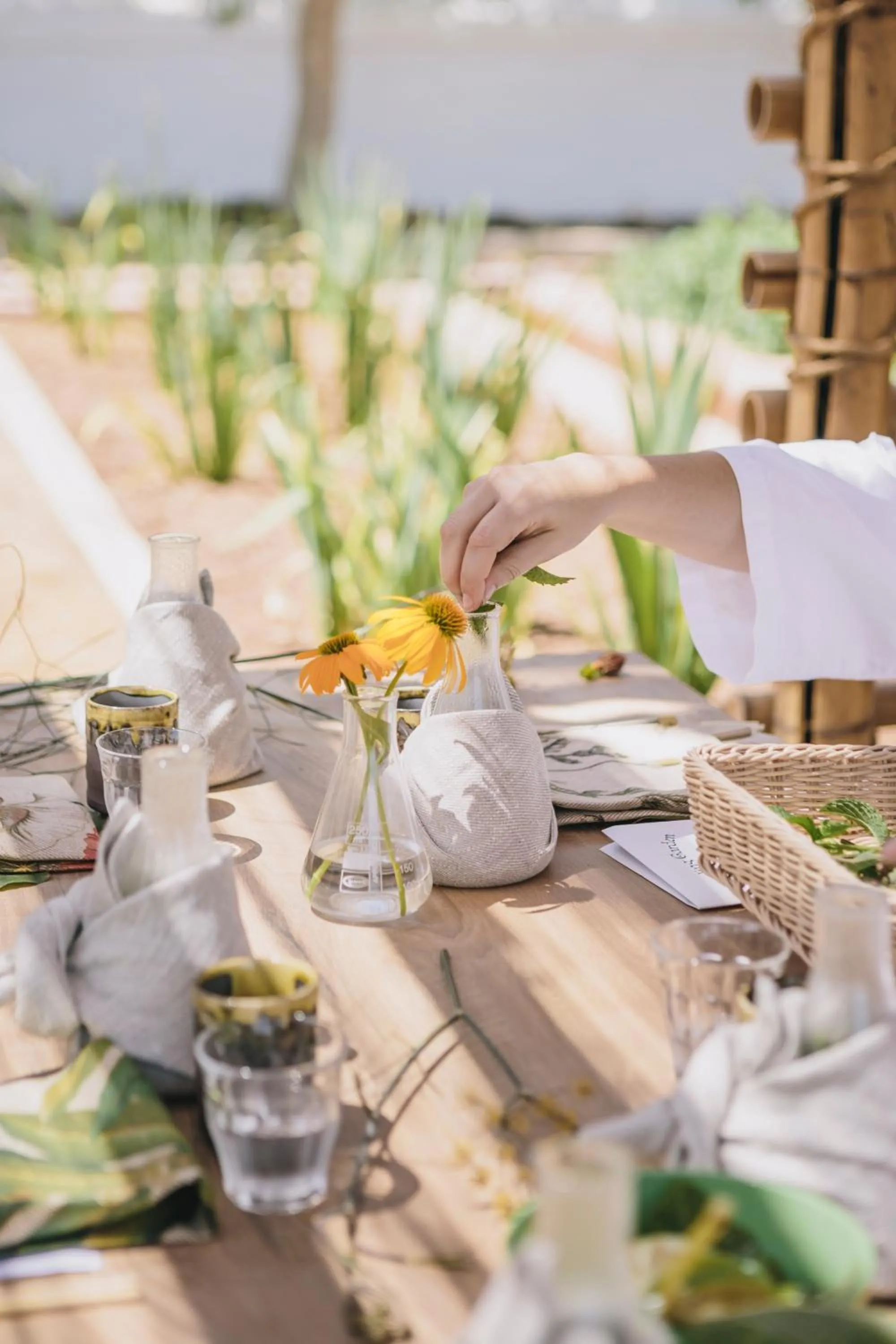 Day in Babylonstoren