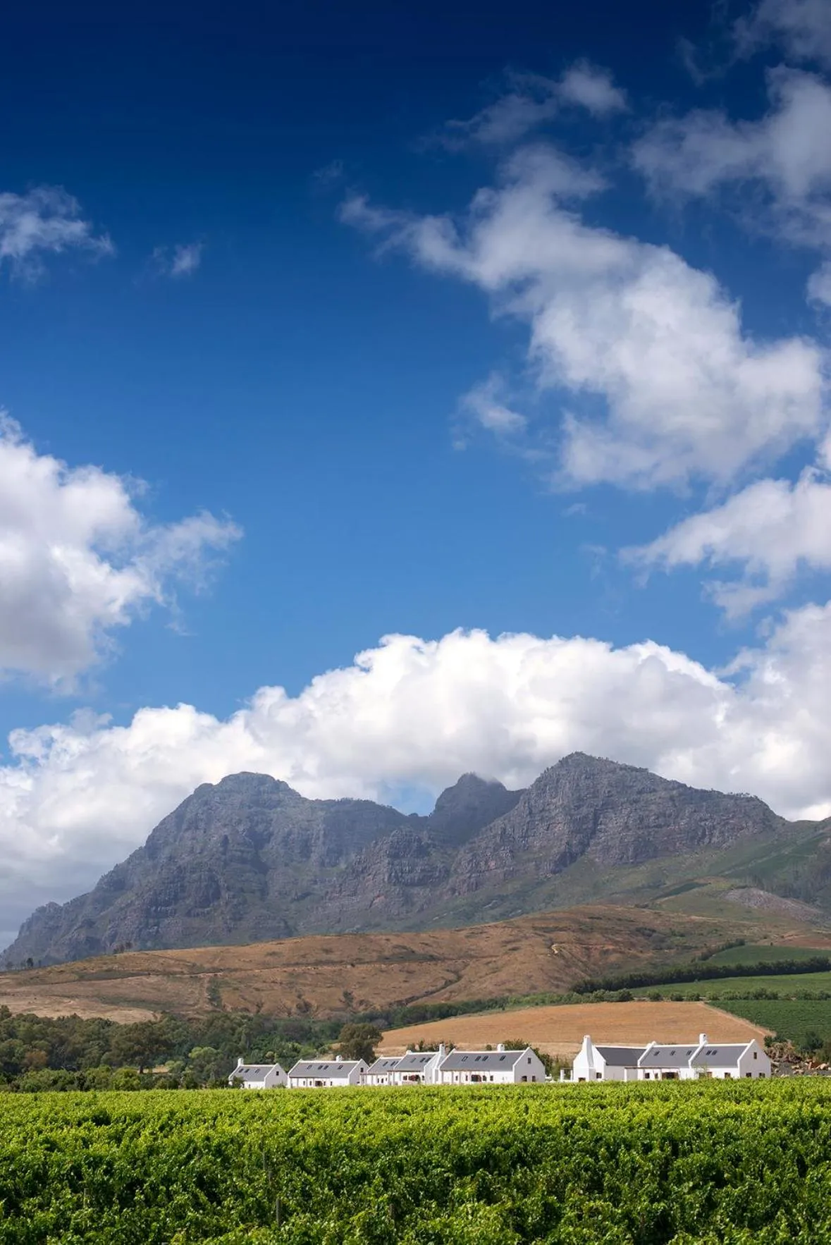 Day in Babylonstoren