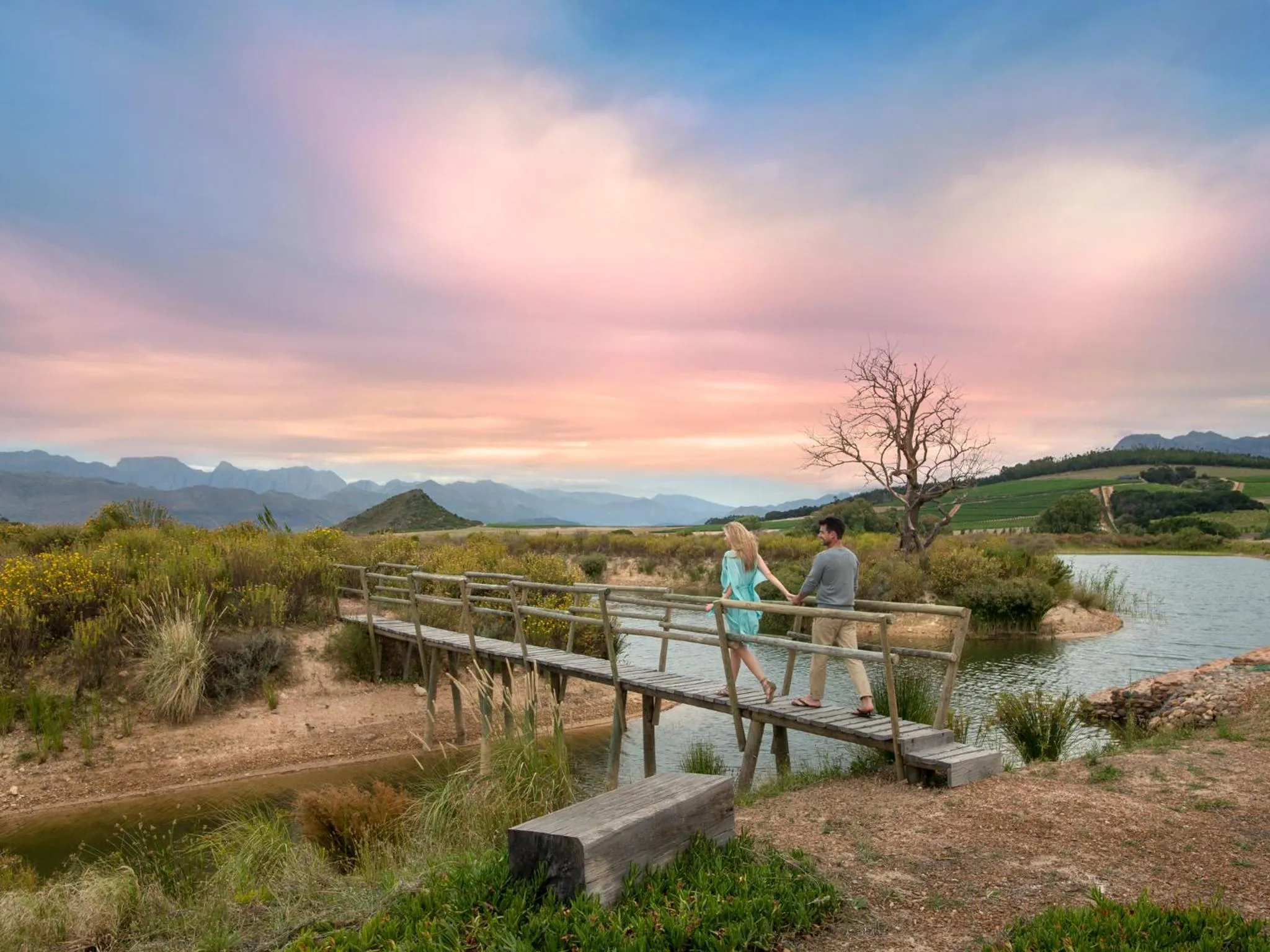 Natural landscape in Babylonstoren