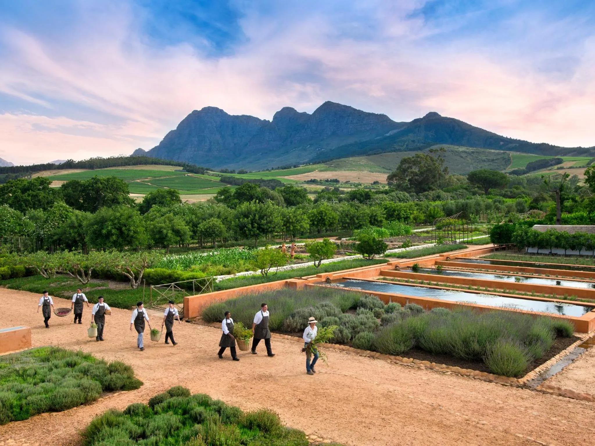 Garden view in Babylonstoren