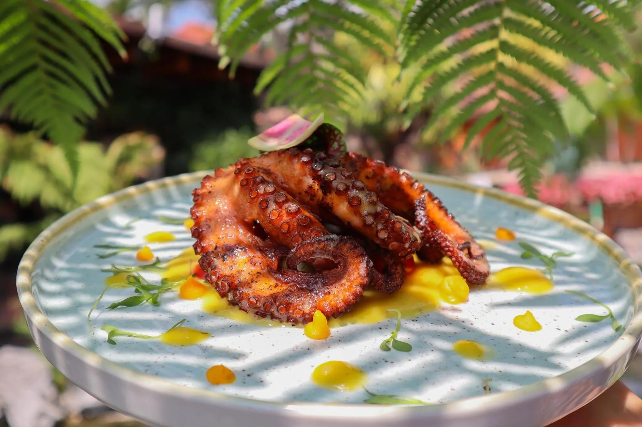 Restaurant/places to eat in Hosteria Las Quintas Hotel Restaurante Bar