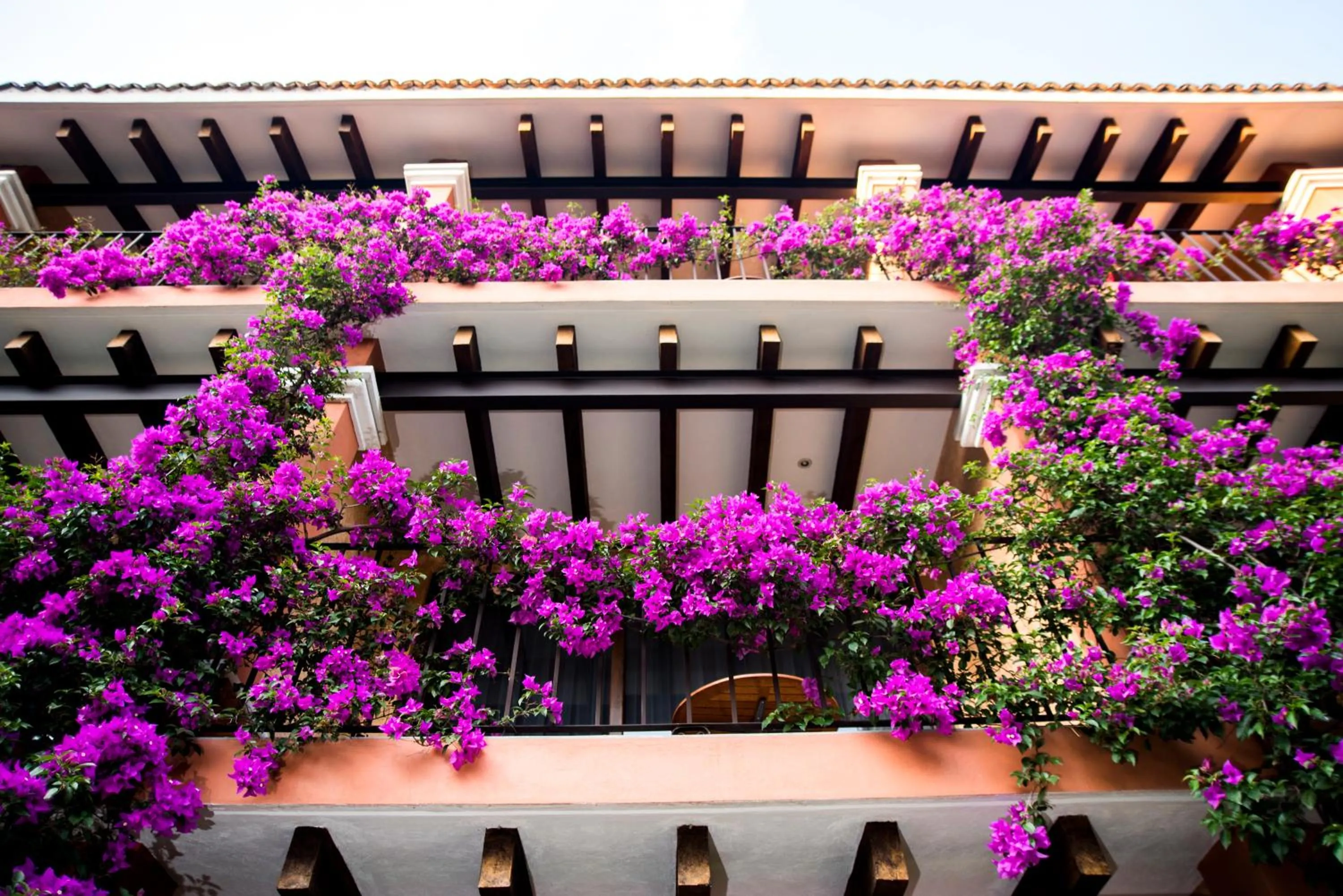 Spring in Hosteria Las Quintas Hotel Restaurante Bar