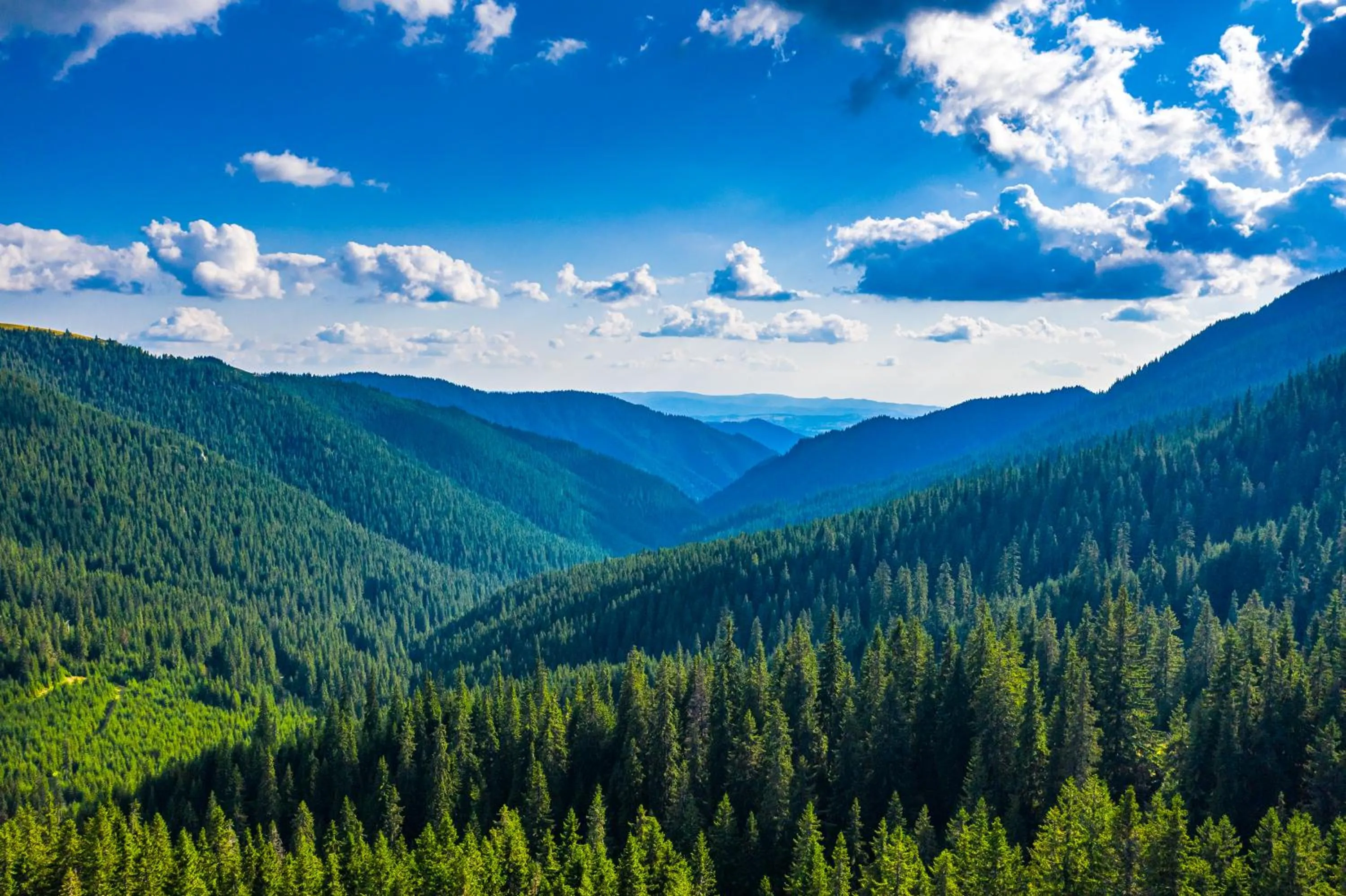 Natural landscape in Hotel Dorna