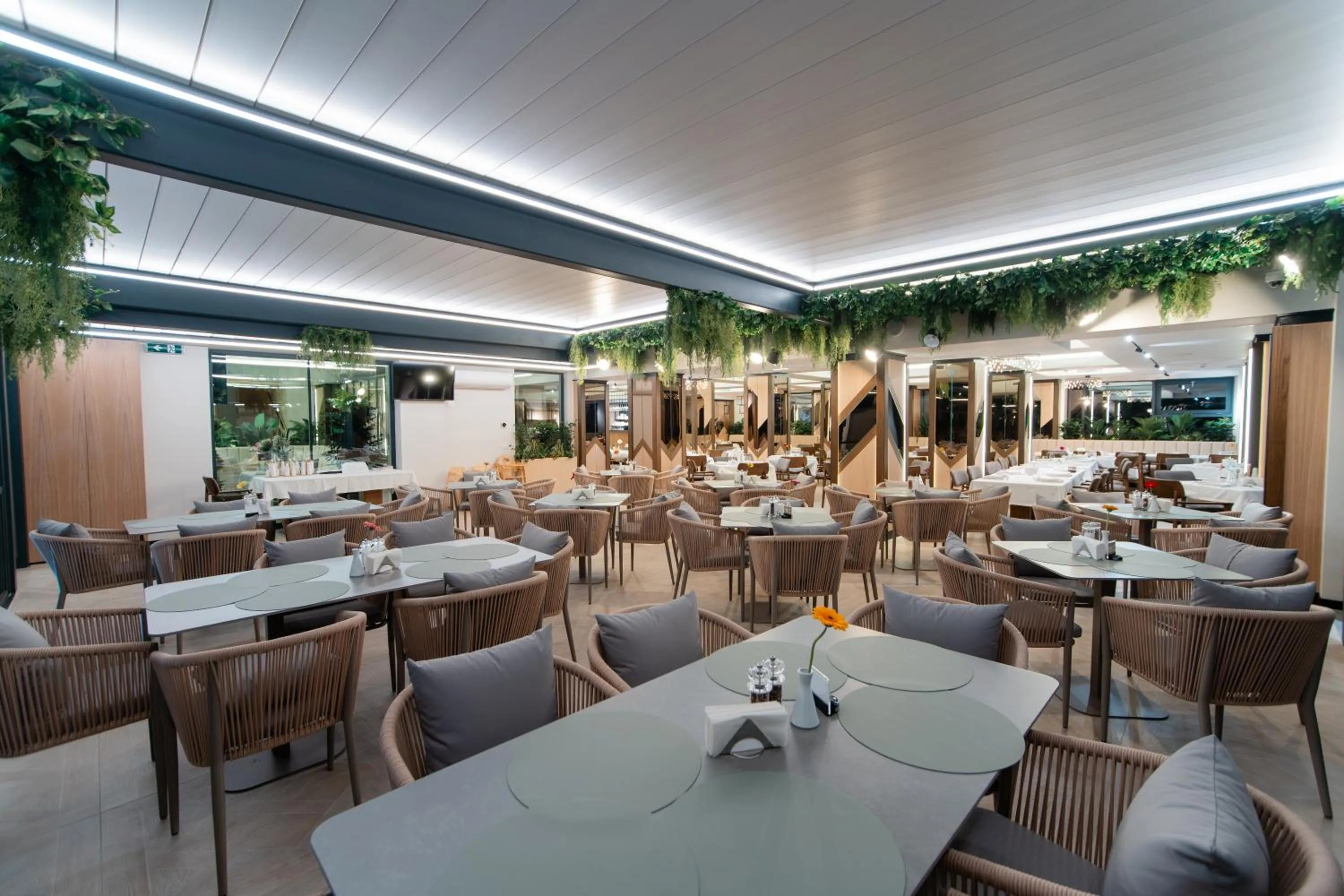 Balcony/Terrace in Hotel Dorna