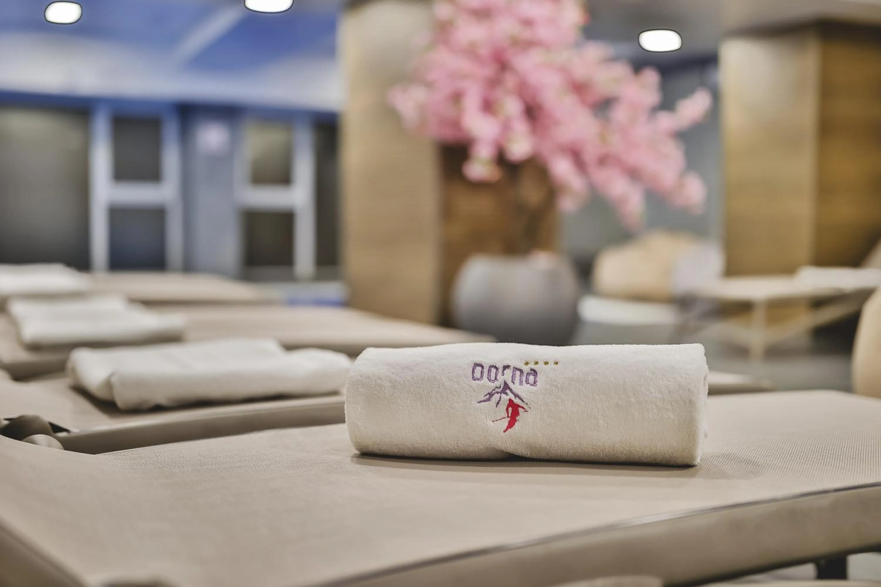 Spa and wellness centre/facilities in Hotel Dorna