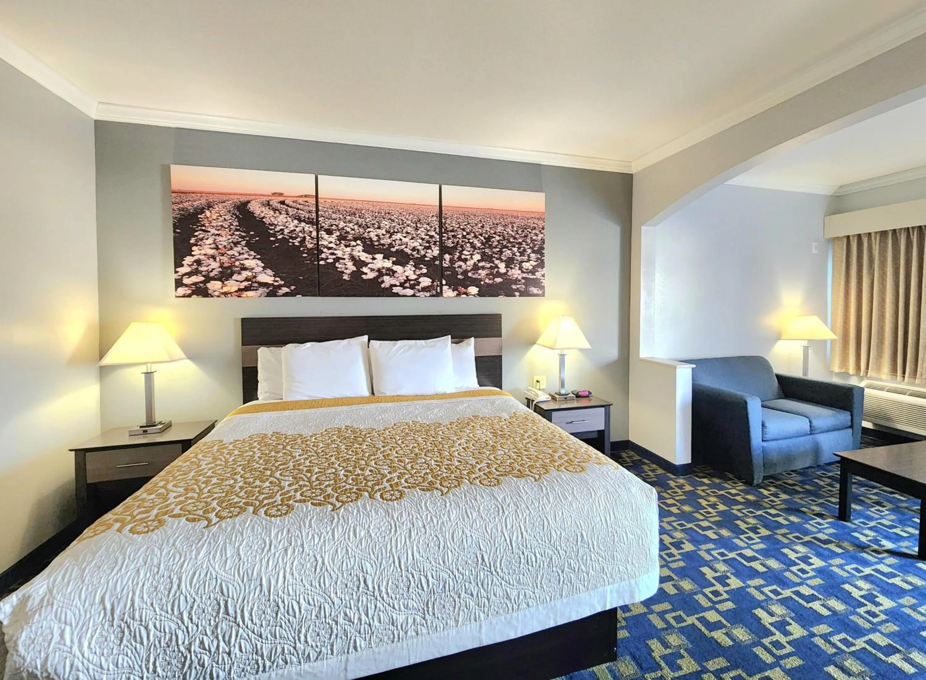 Photo of the whole room in Days Inn by Wyndham Robstown