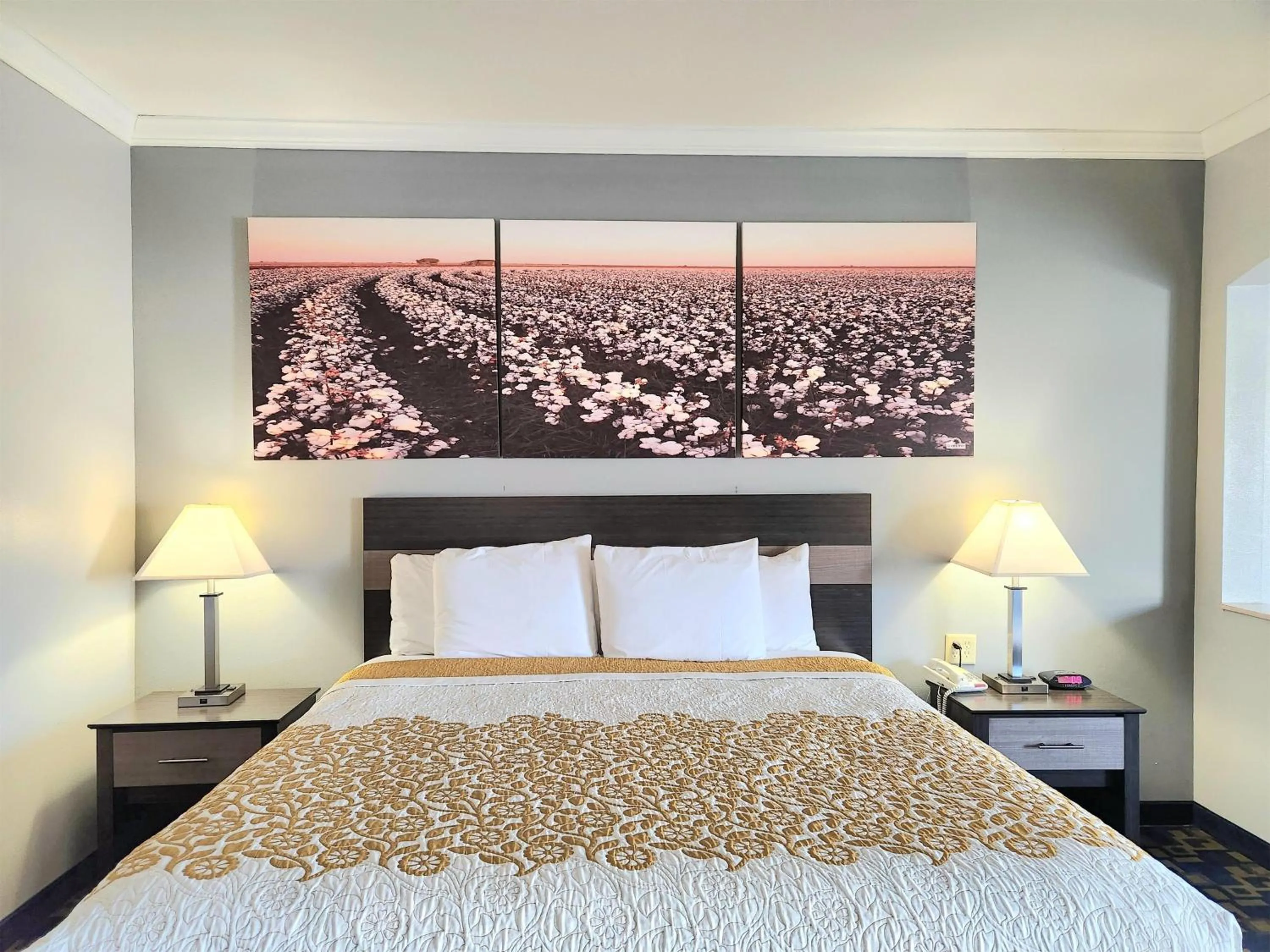 Photo of the whole room in Days Inn by Wyndham Robstown