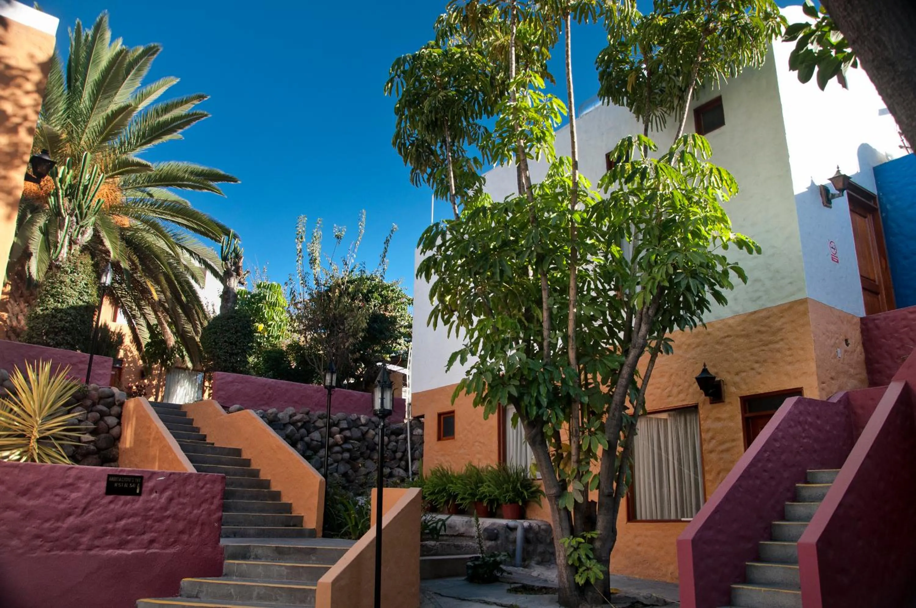 Garden in La Maison d'Elise