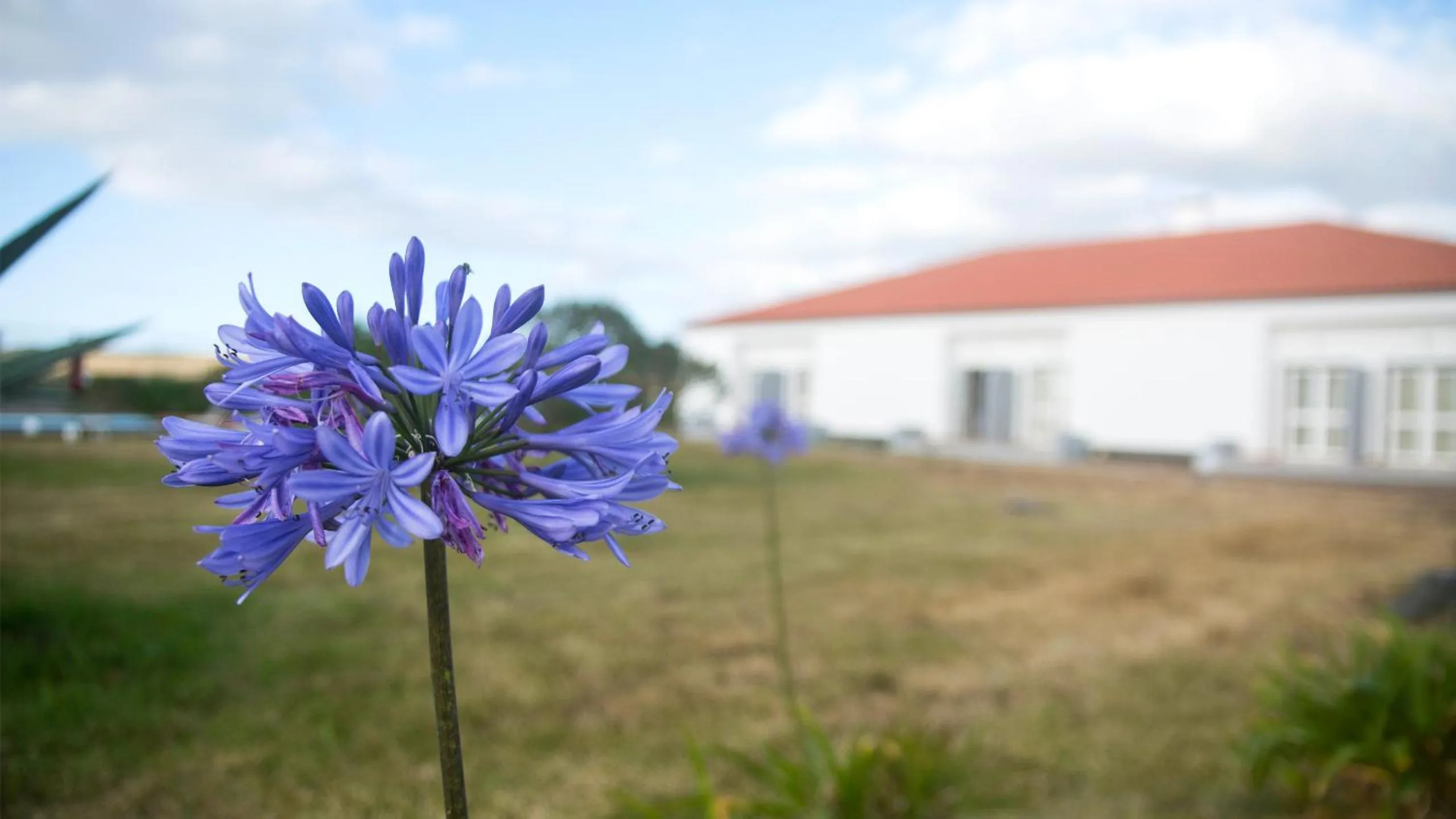 Garden in Hotel Santa Maria