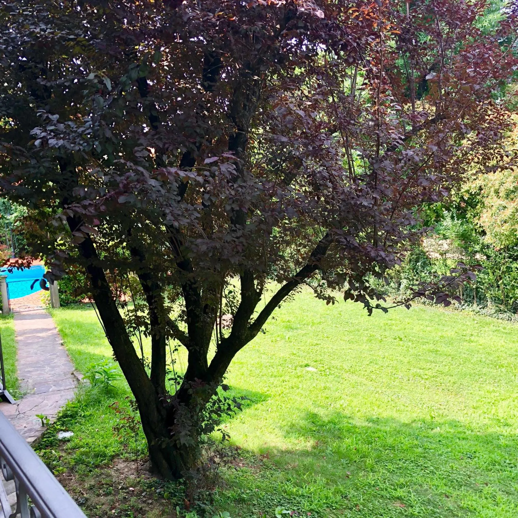 Garden in B&B Family First