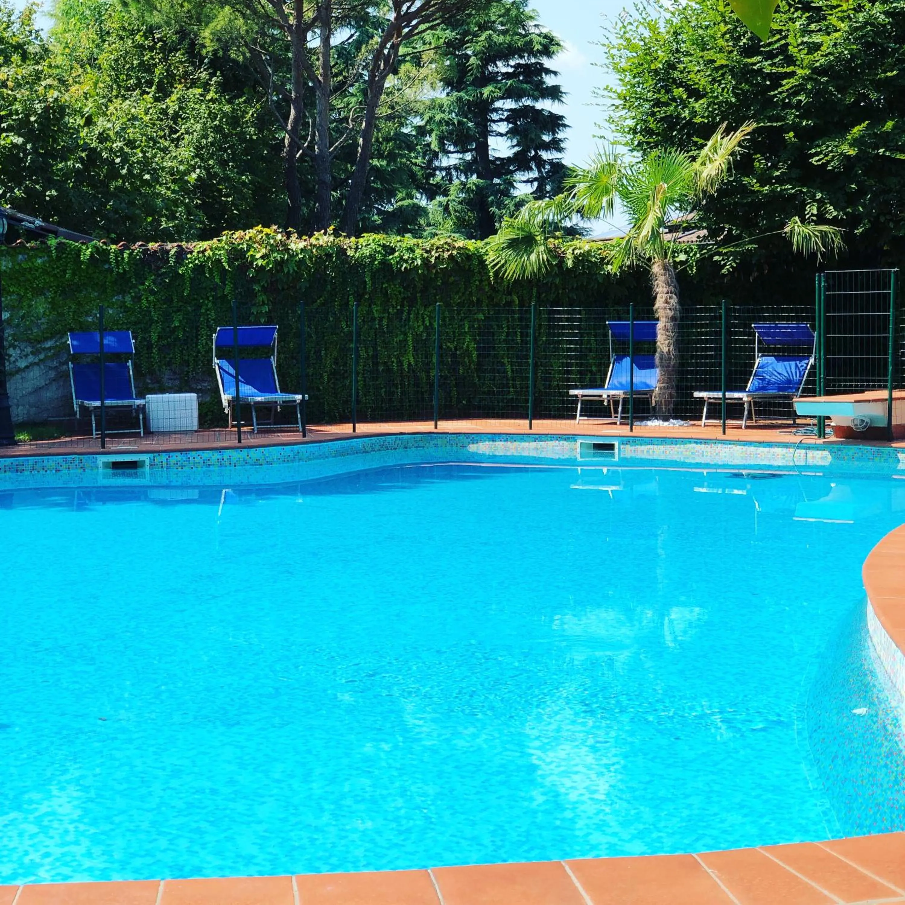 Swimming pool in B&B Family First