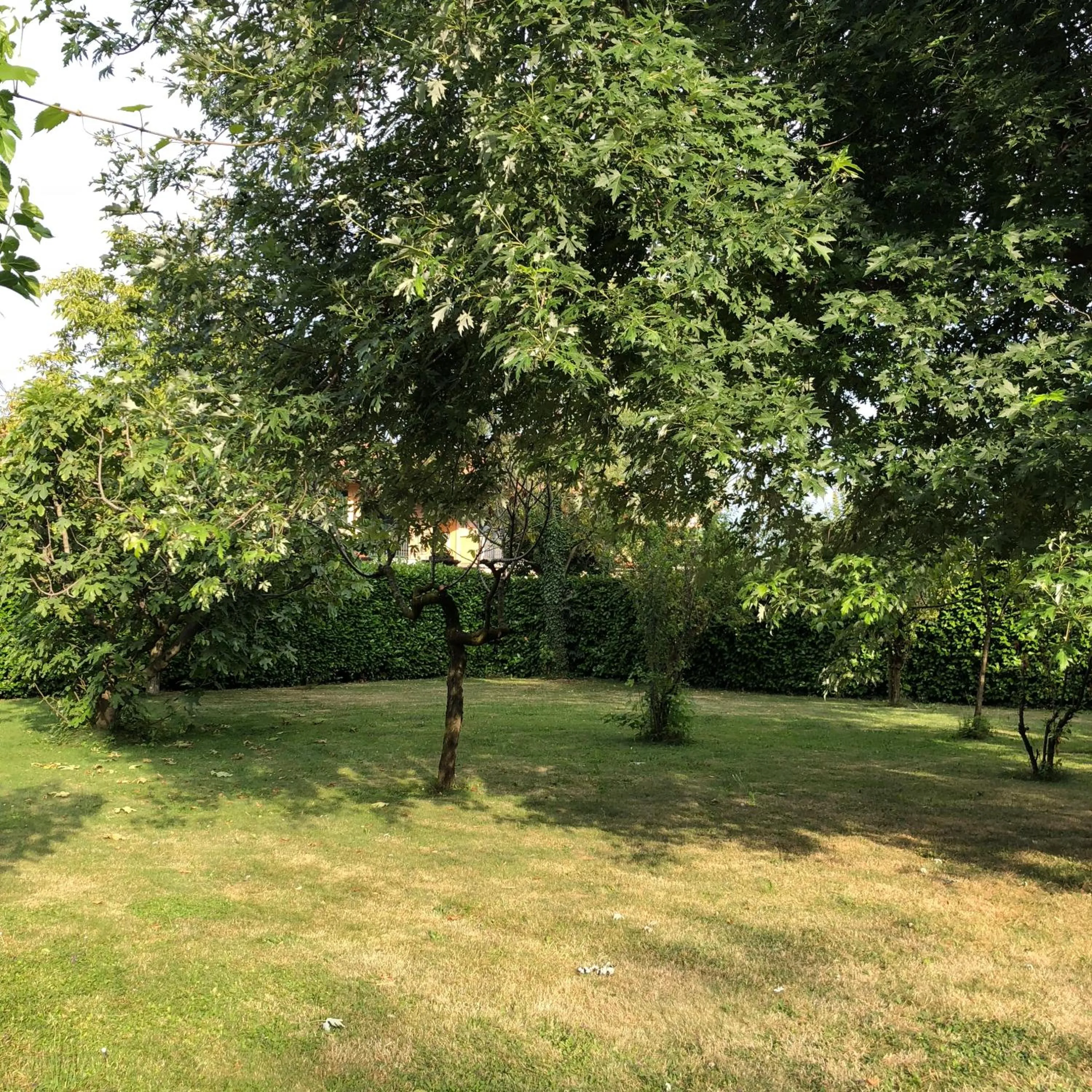 Garden in B&B Family First