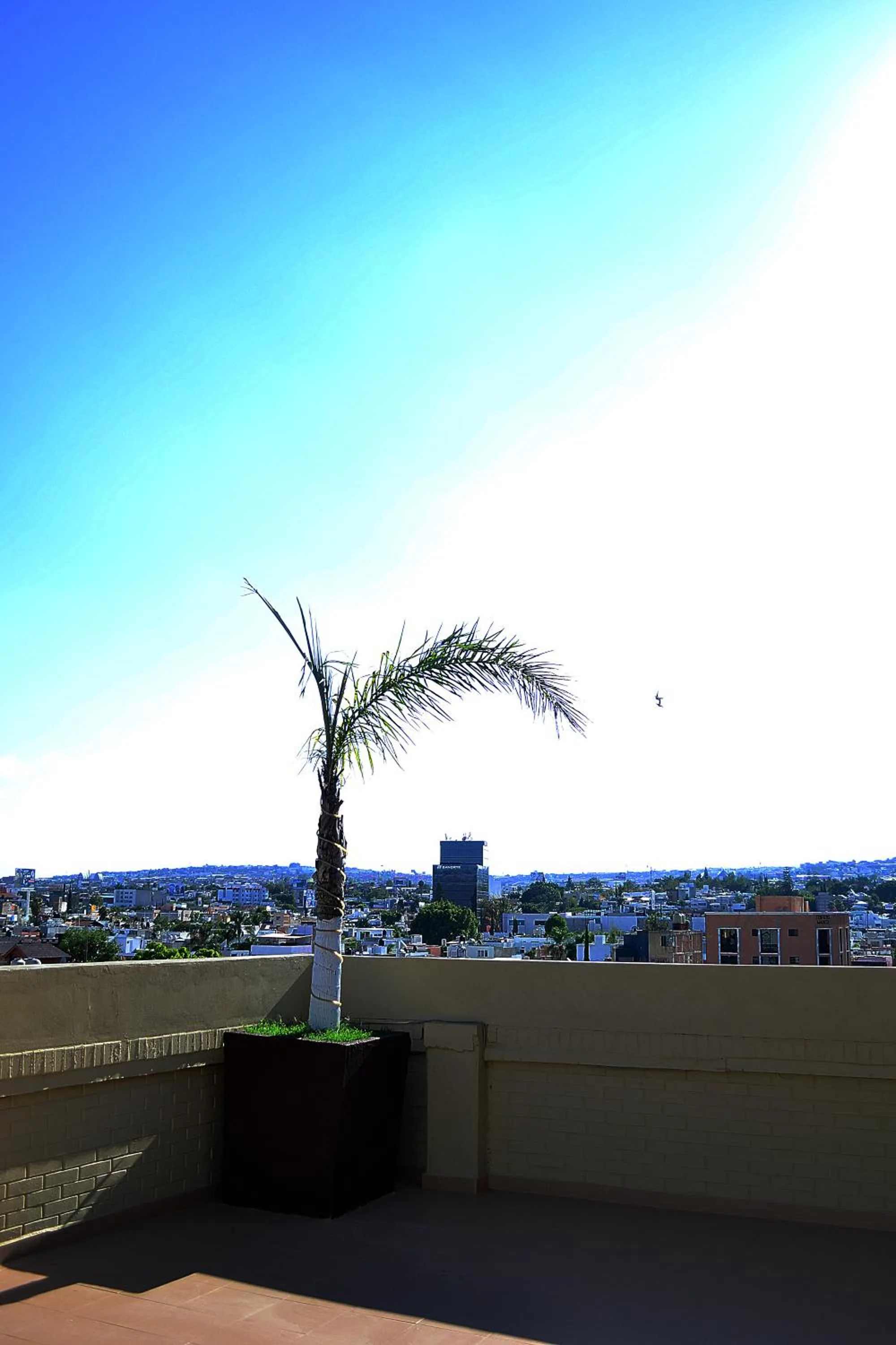 Balcony/Terrace in Hotel Campestre Inn